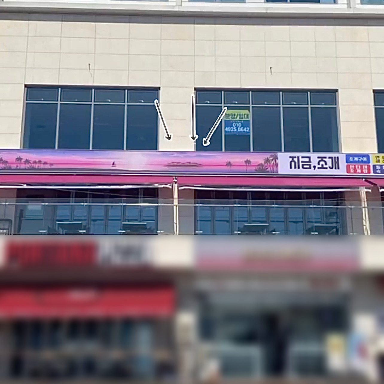 지금조개 사진 4