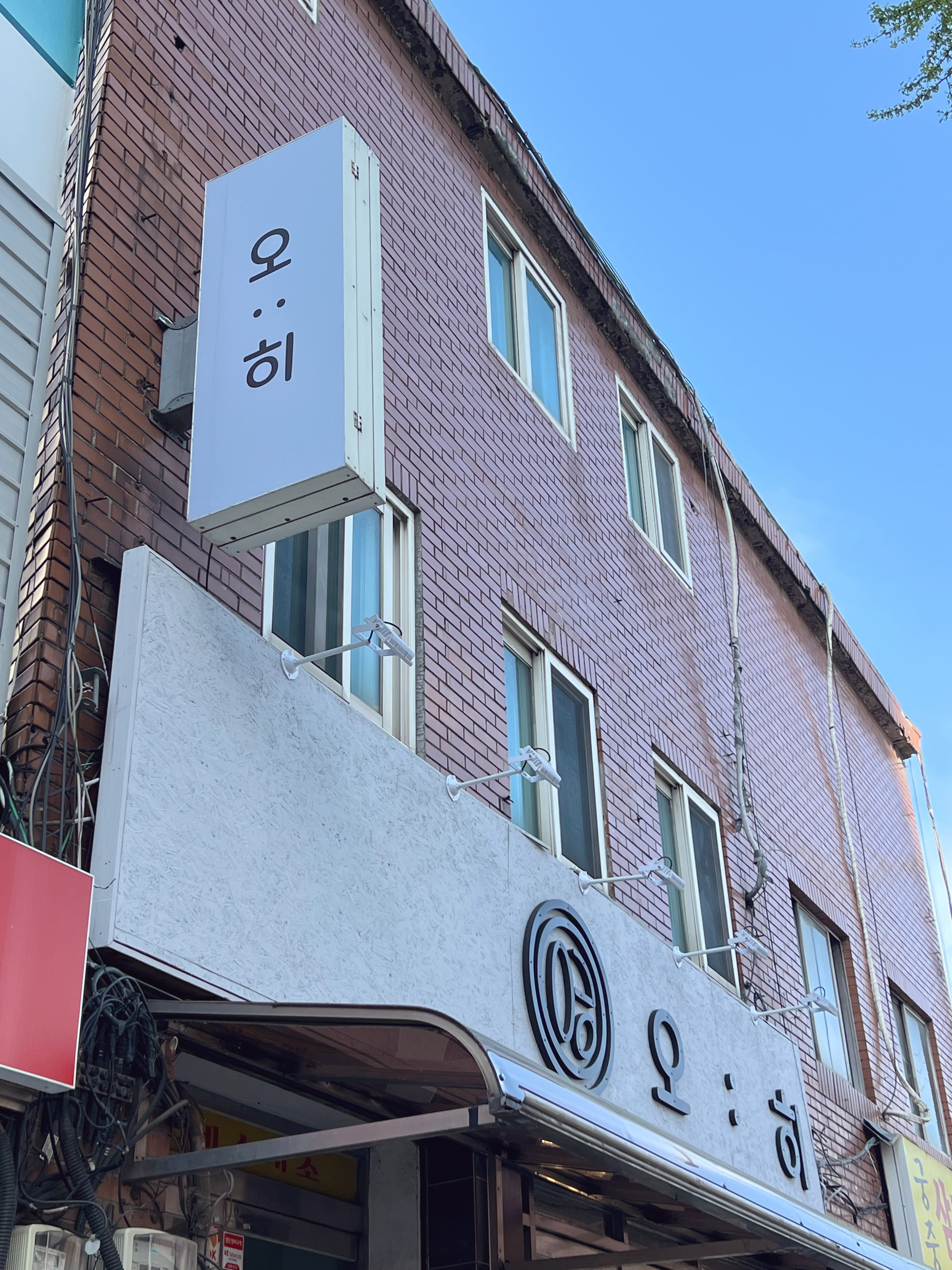 오히 사진 3
