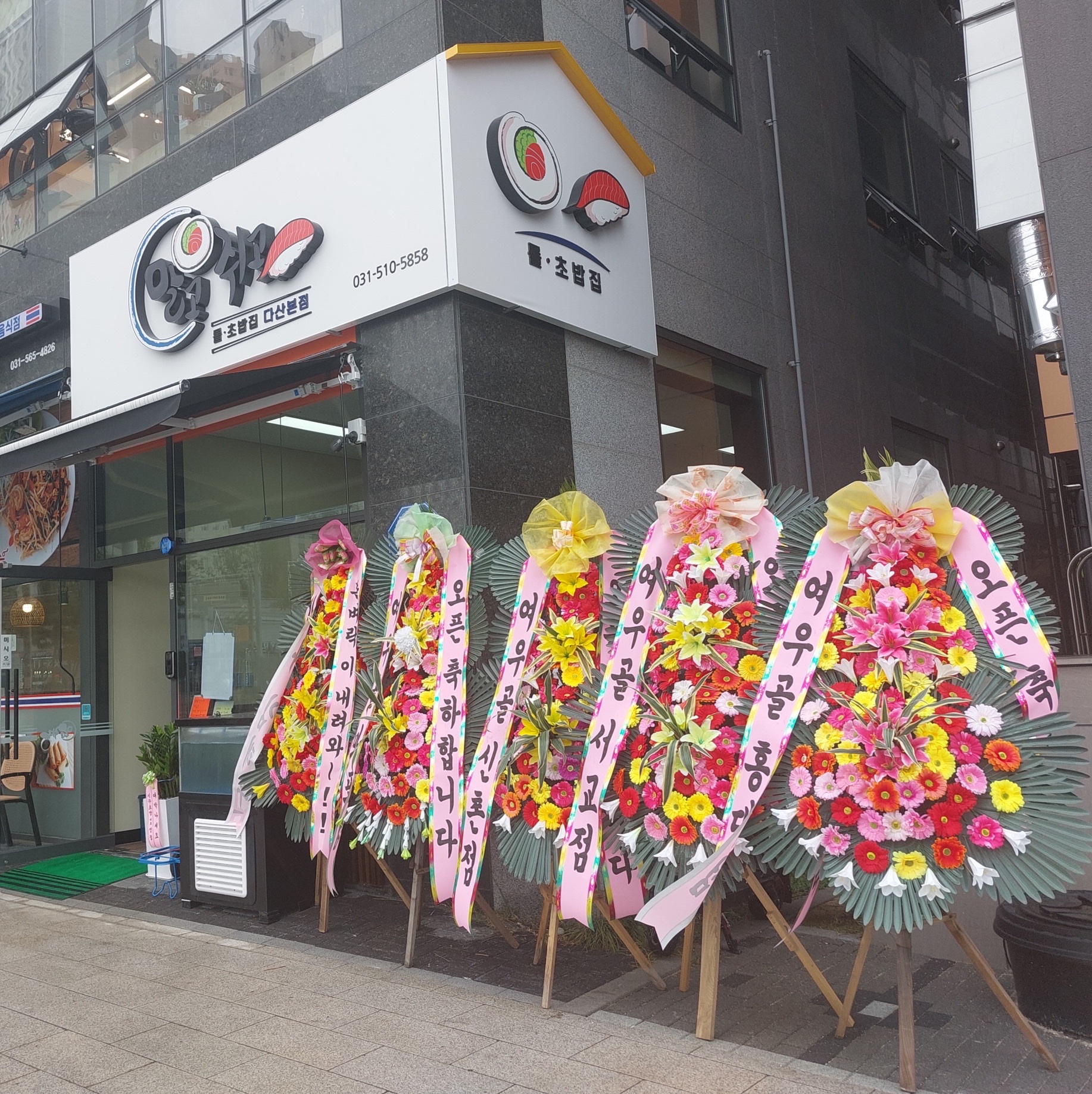 말고쥐고 3