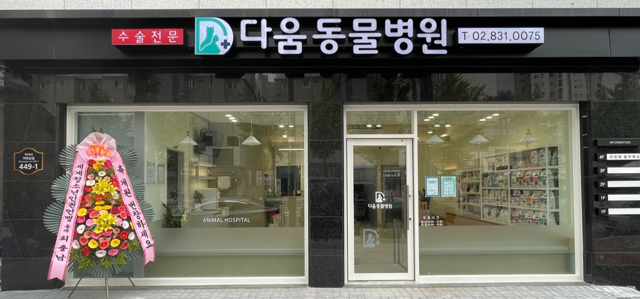 다움동물병원