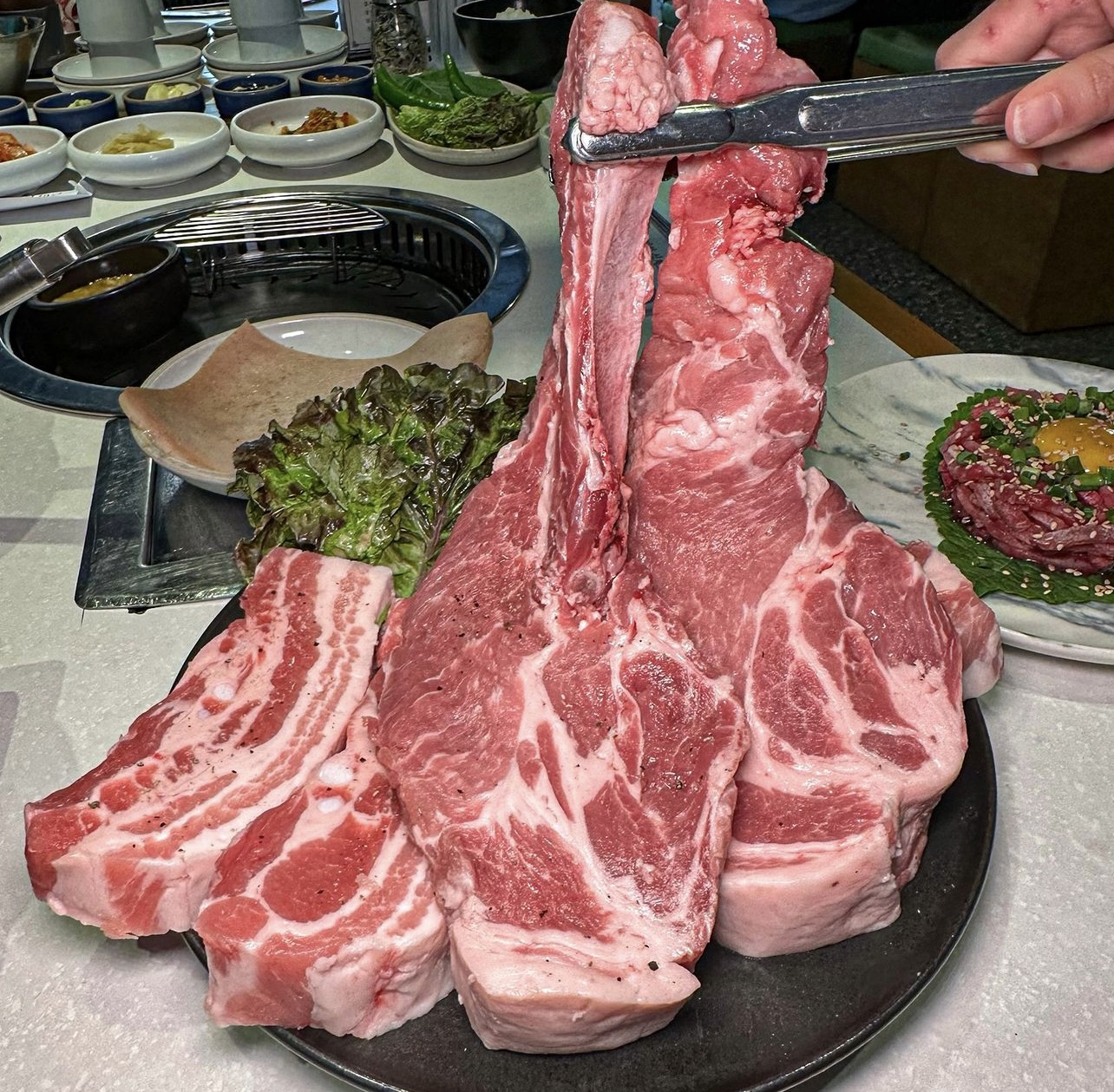 봉고기 5