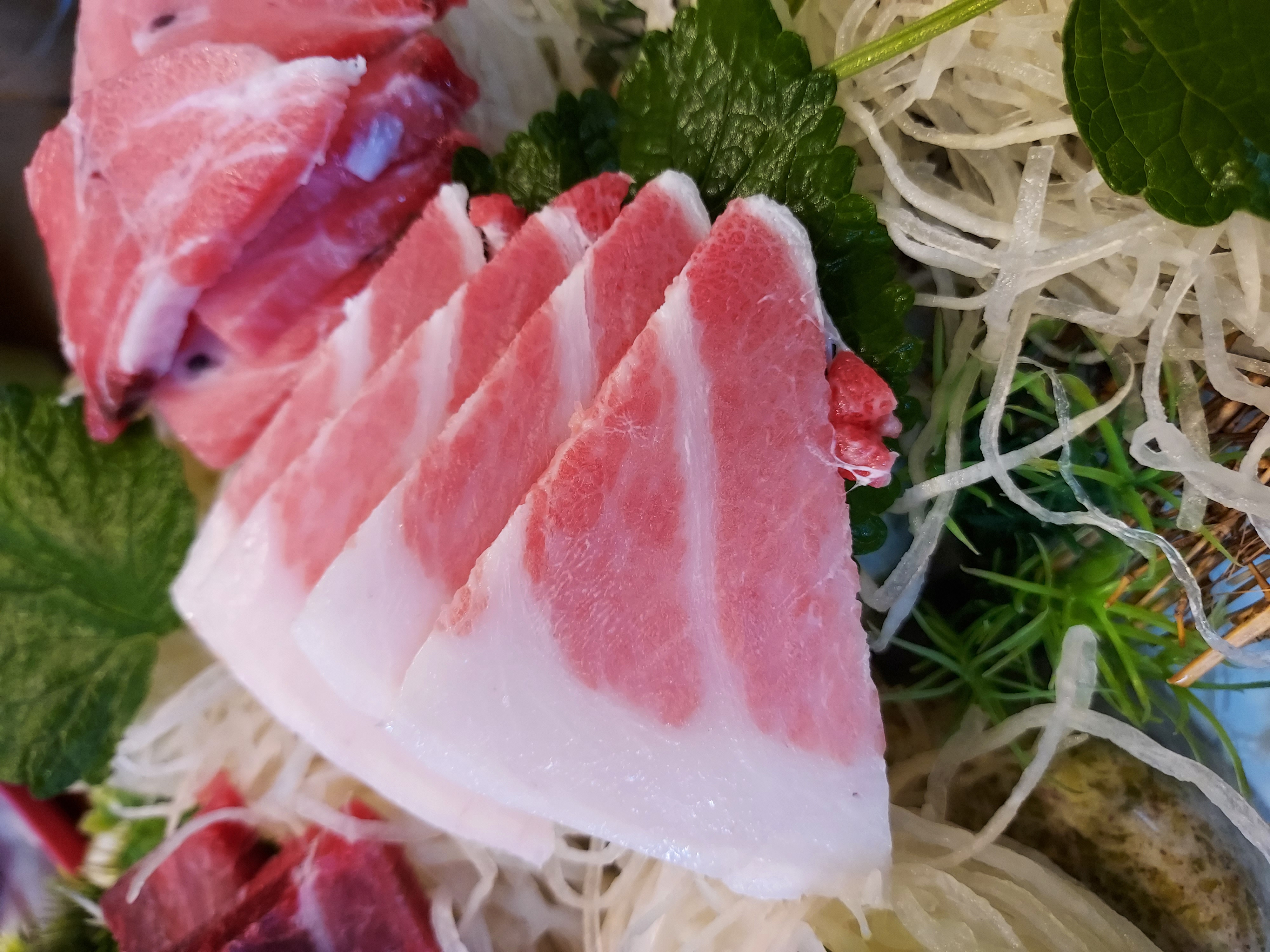 섭지향 사진 4