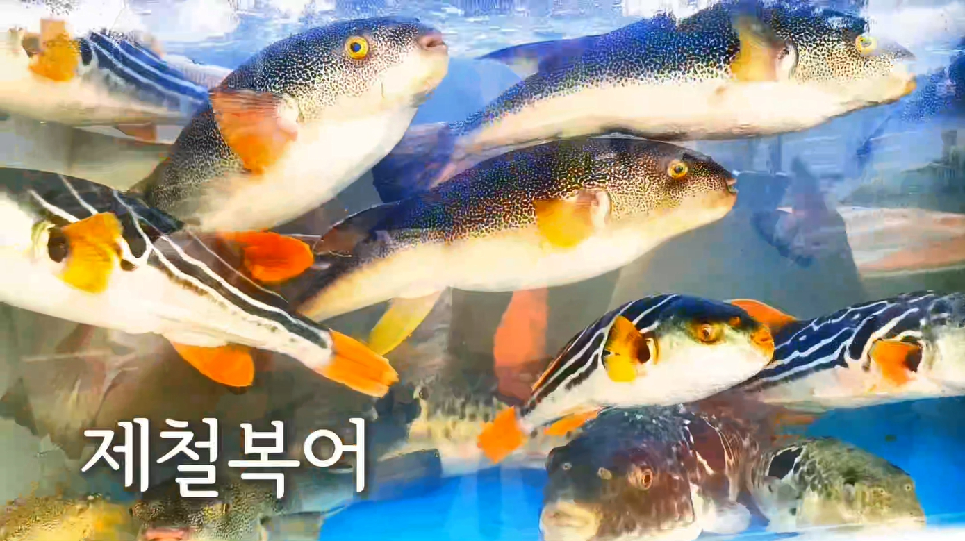 복들어온날 3
