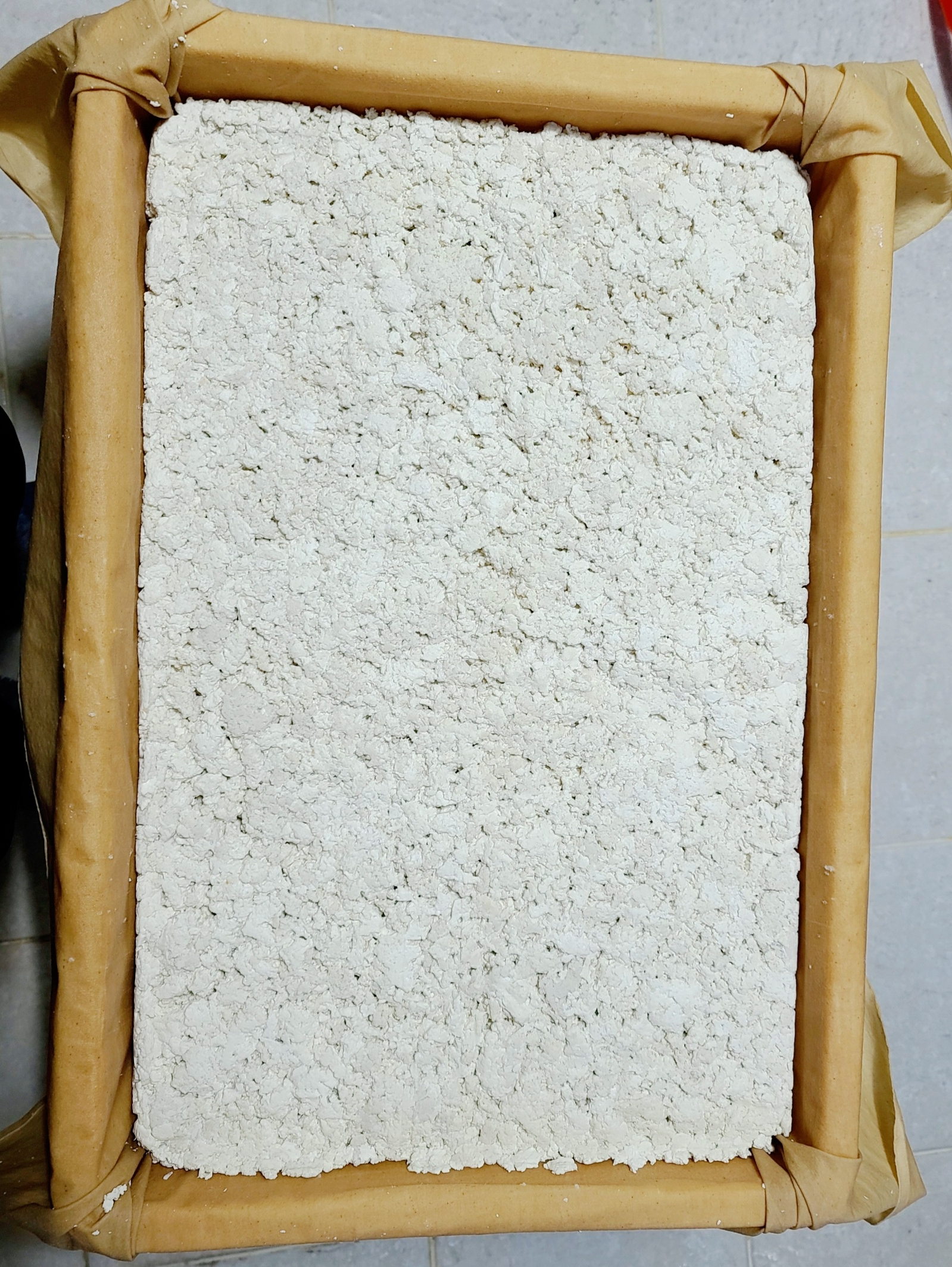 Sigolchondubu 6