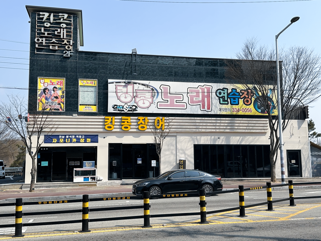 킹콩장어 2