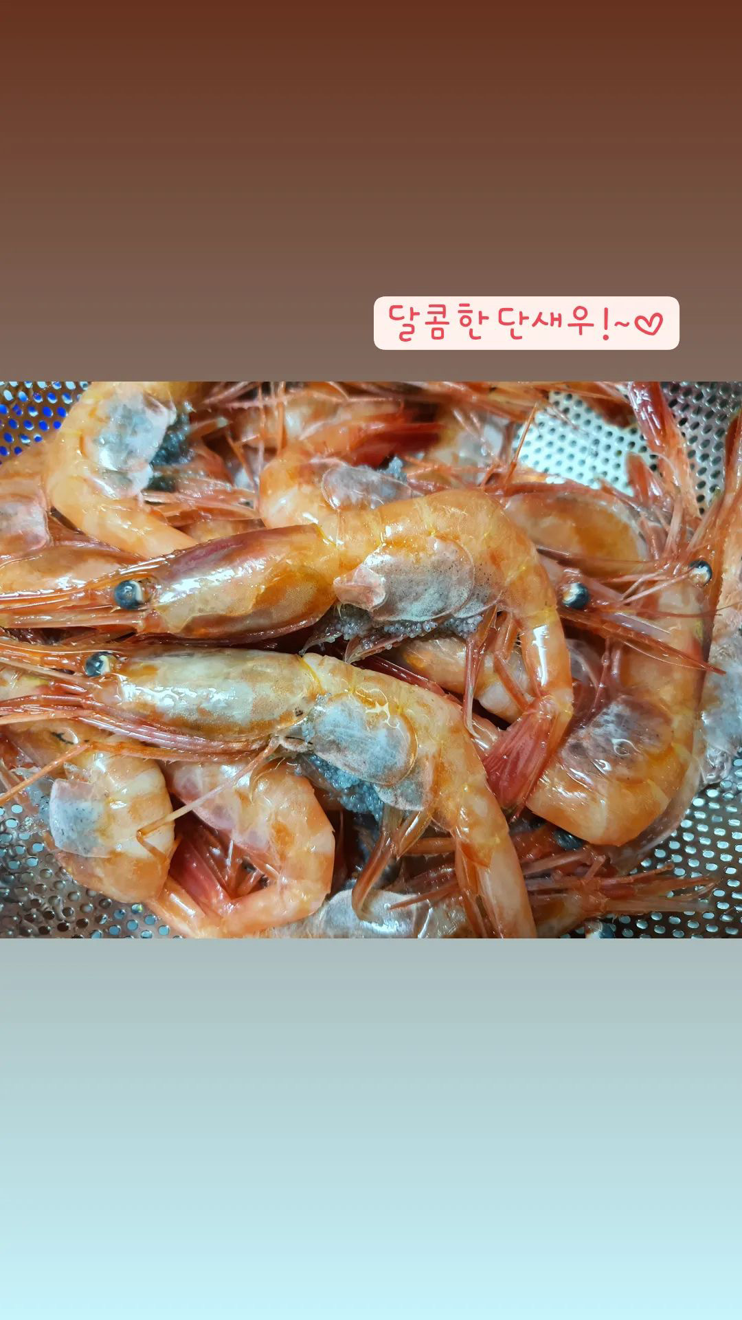 스시윤 사진 5