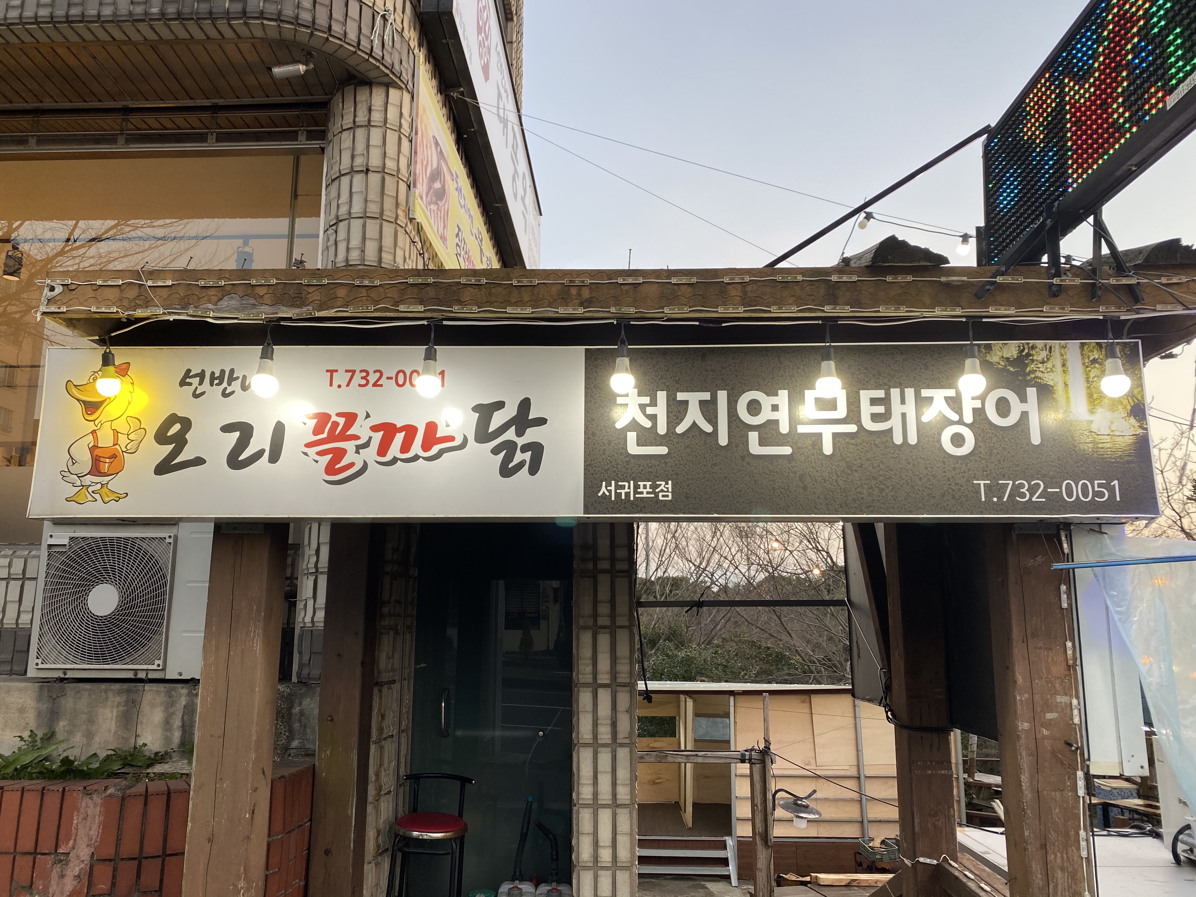 선반내천지연무태장어 사진 5