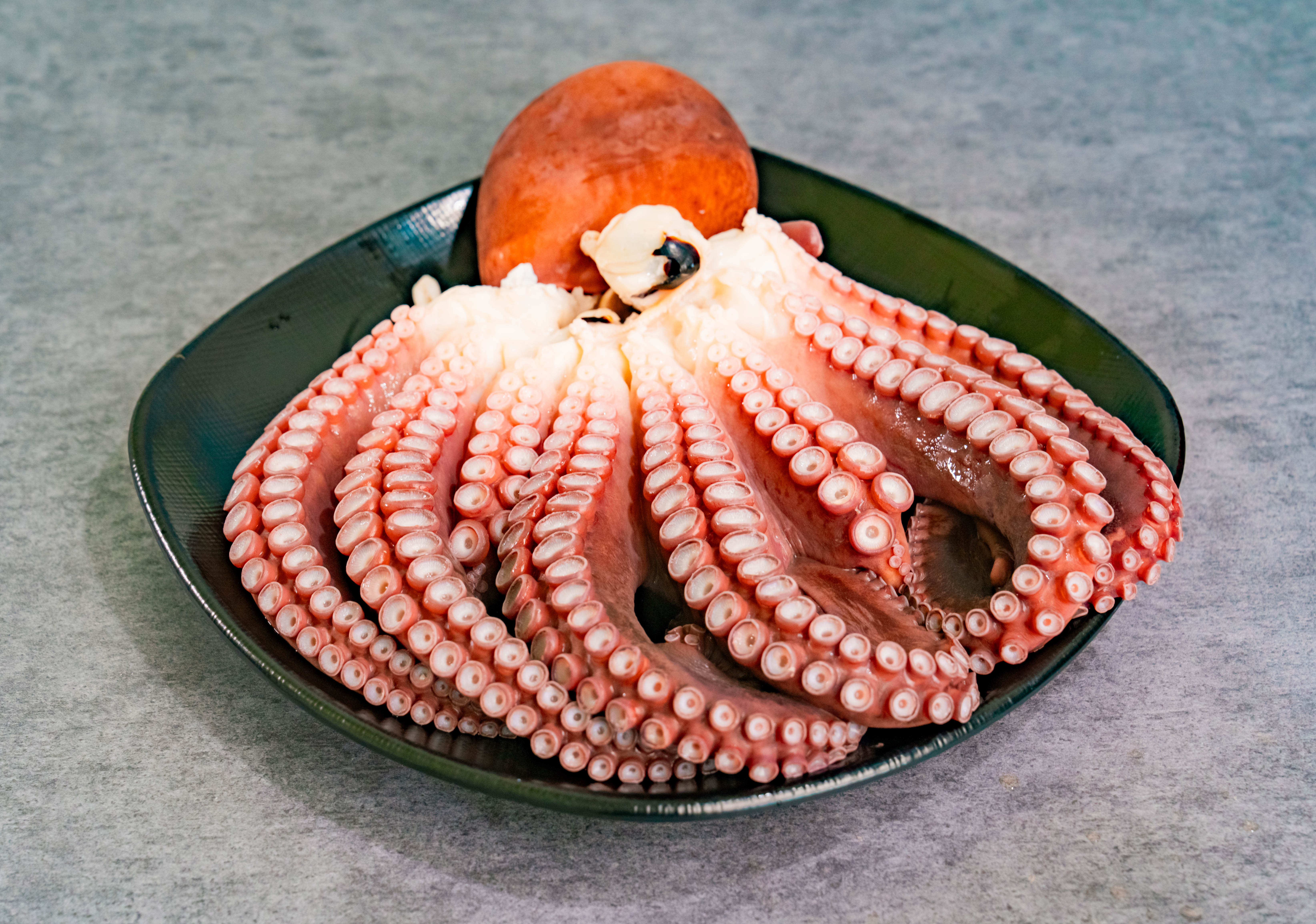 문 어