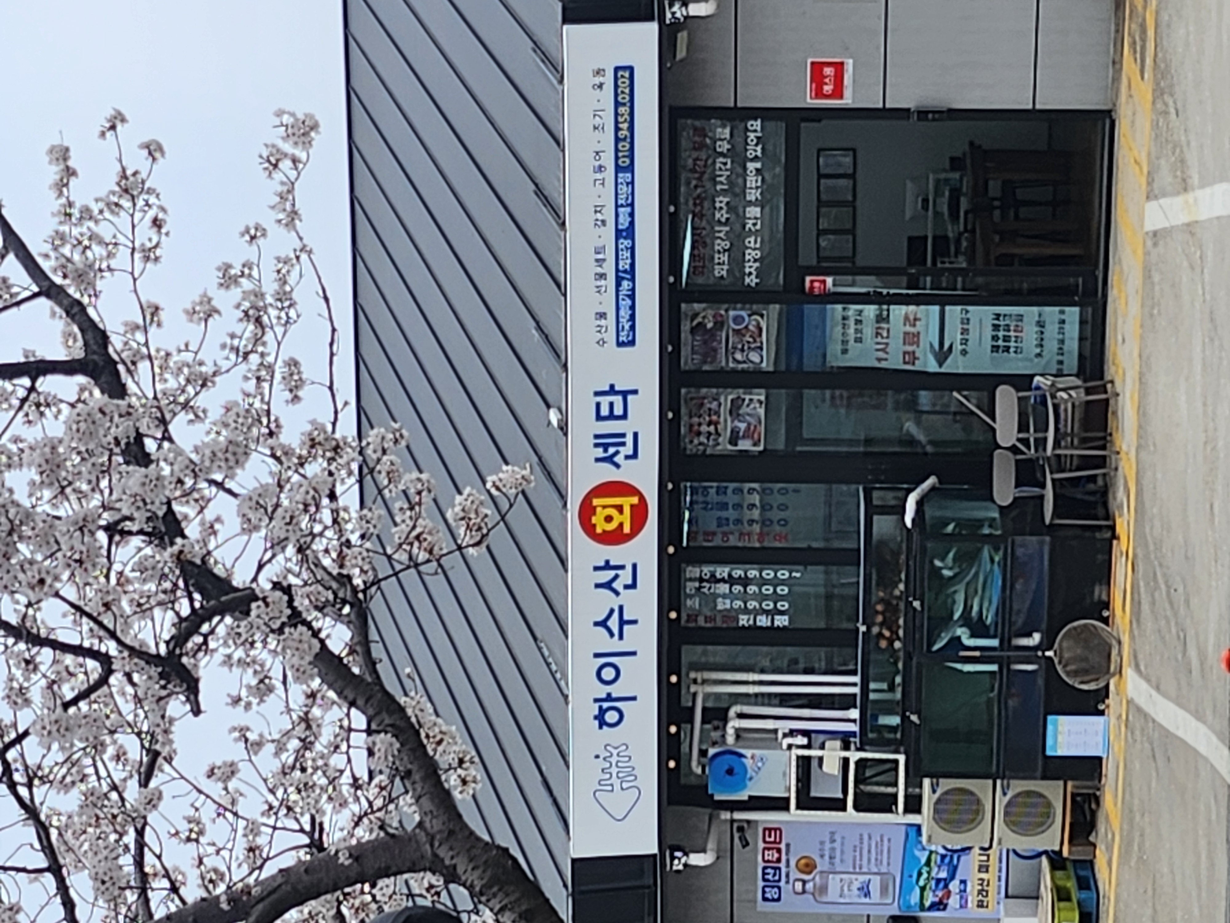 하이수산회센타 사진 2