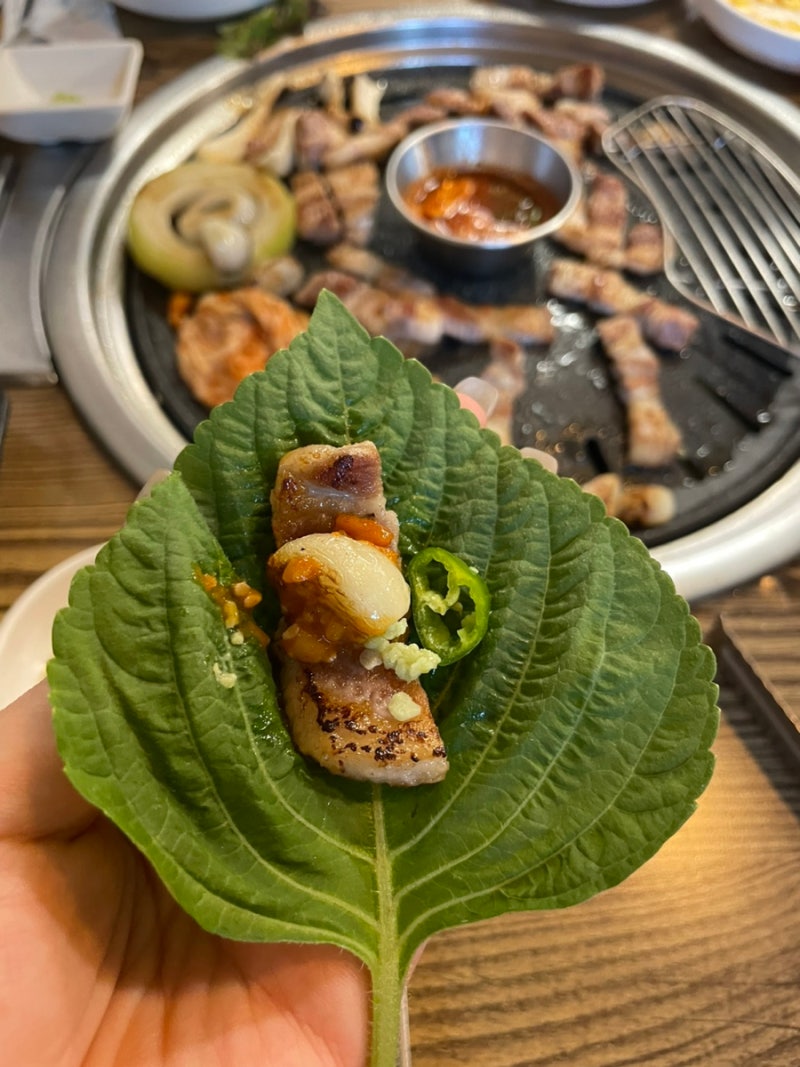 참마실아들 5