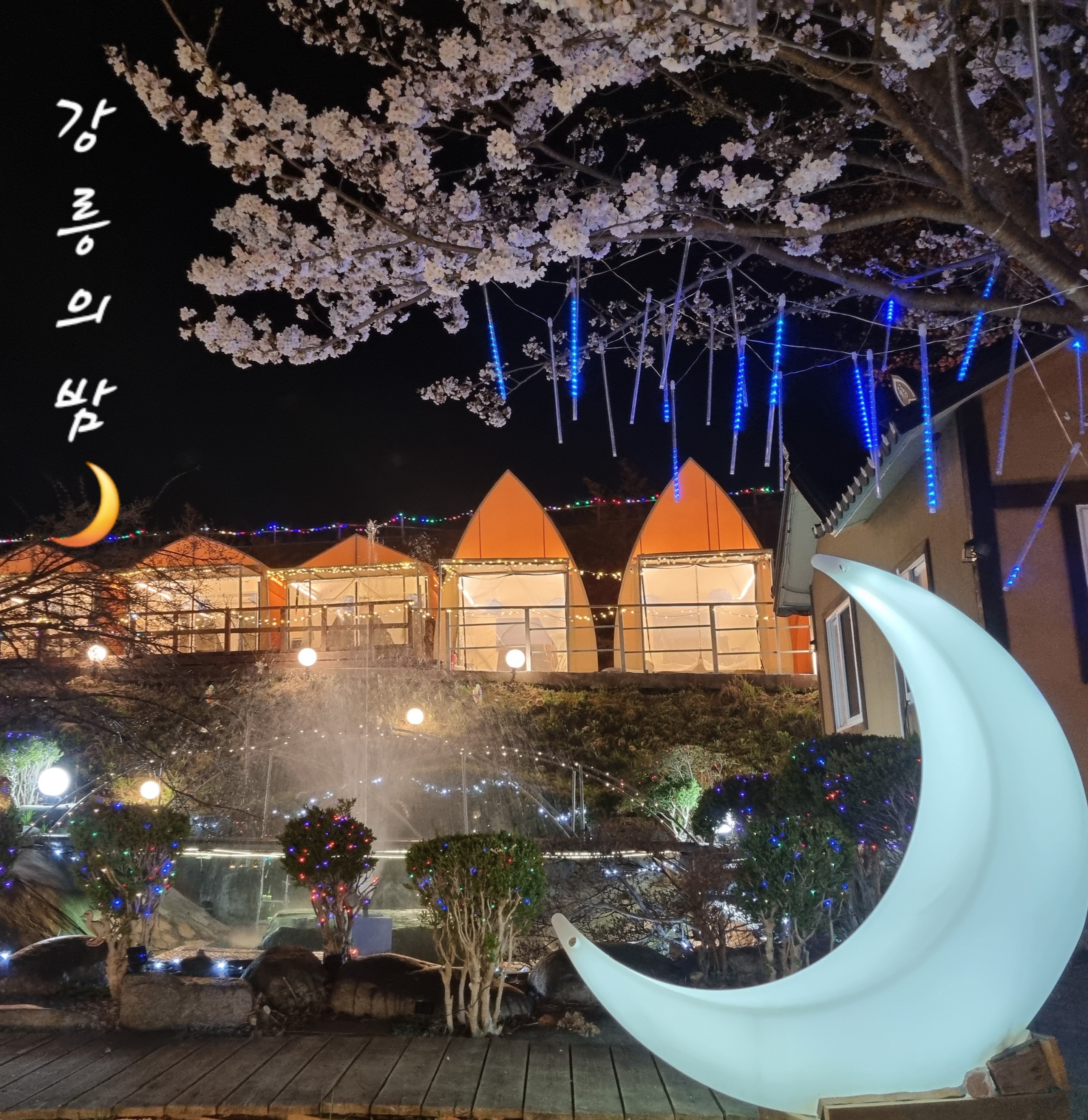 강릉의밤 대표 사진