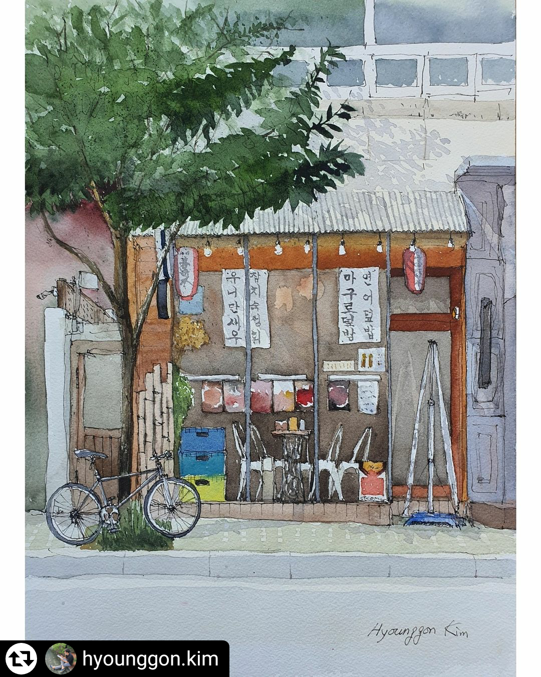 쵸쵸 사진 5