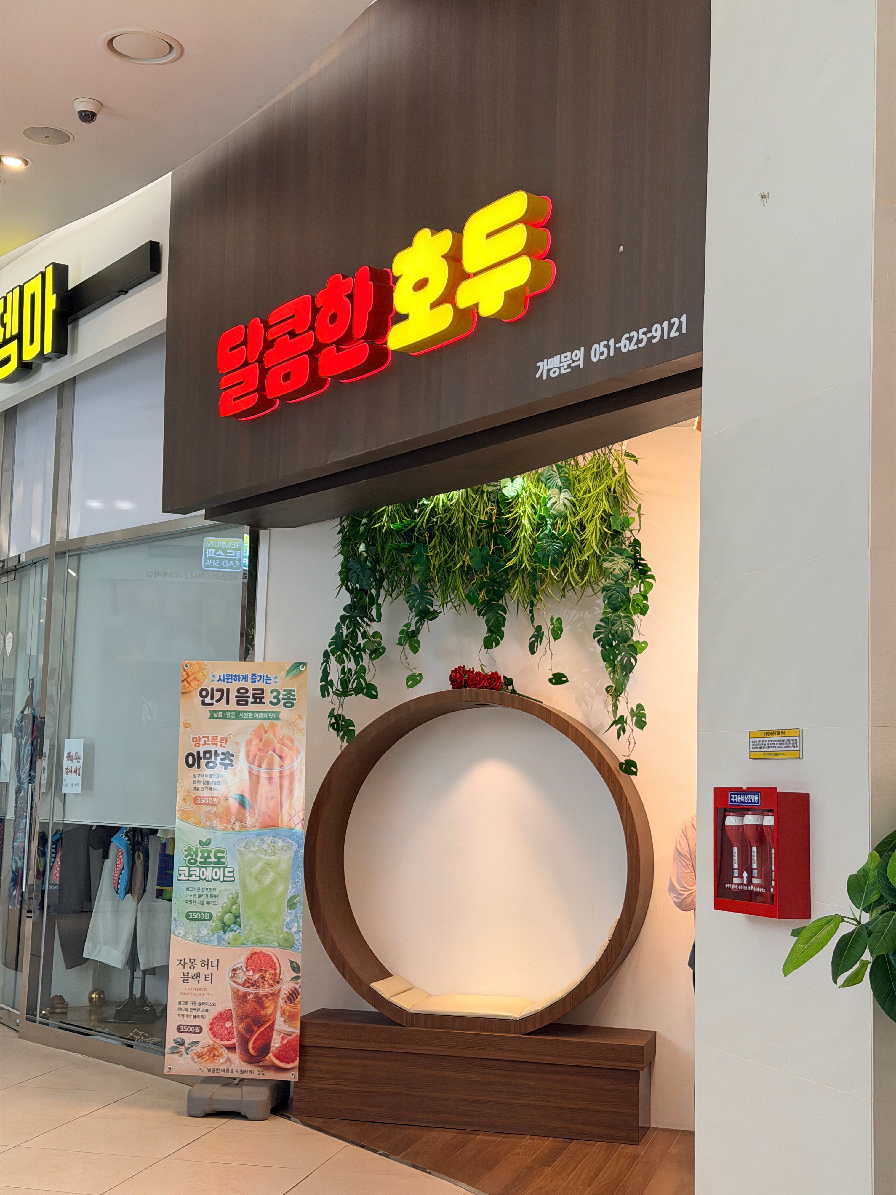 달콤한호두 사진 4