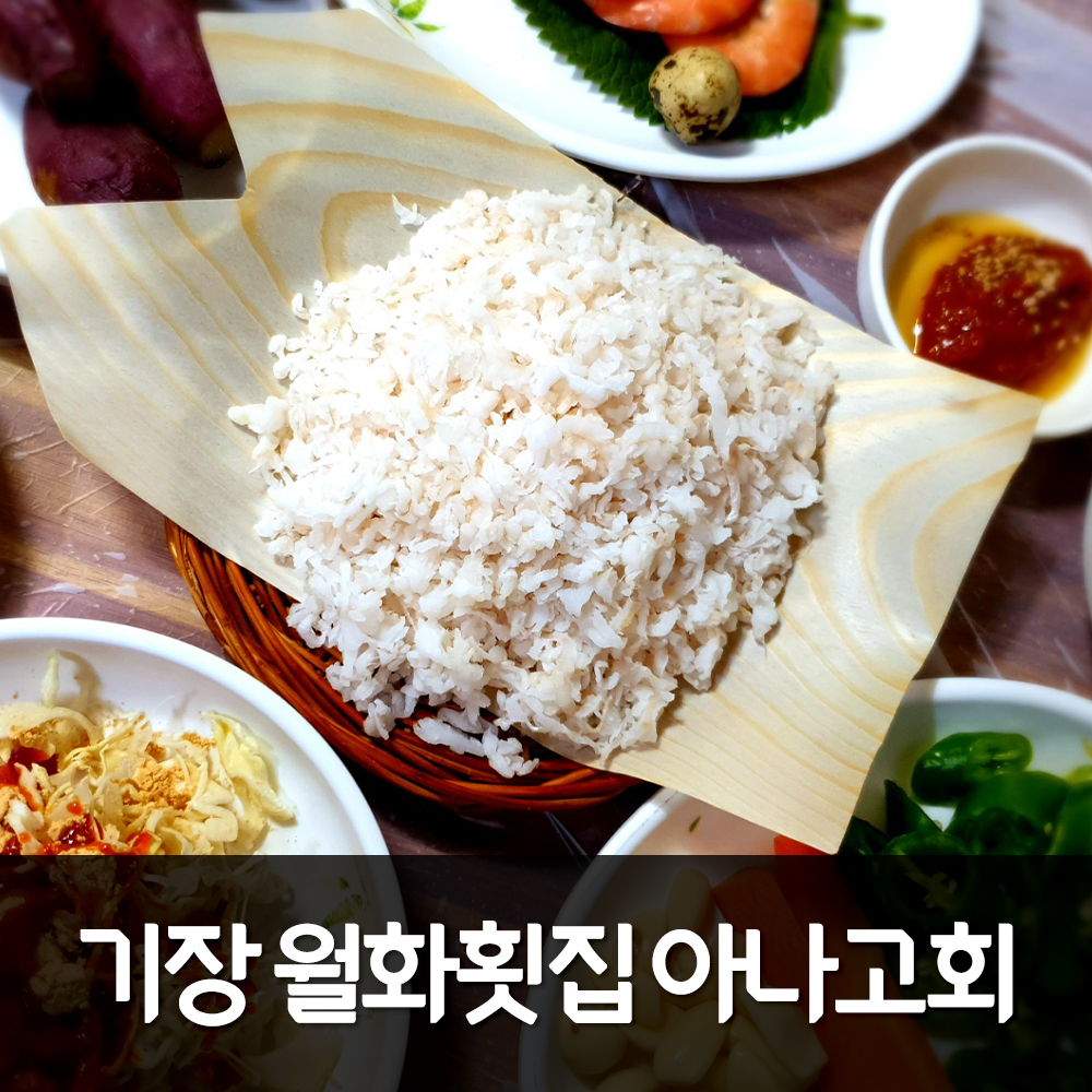 월화횟집 사진 7