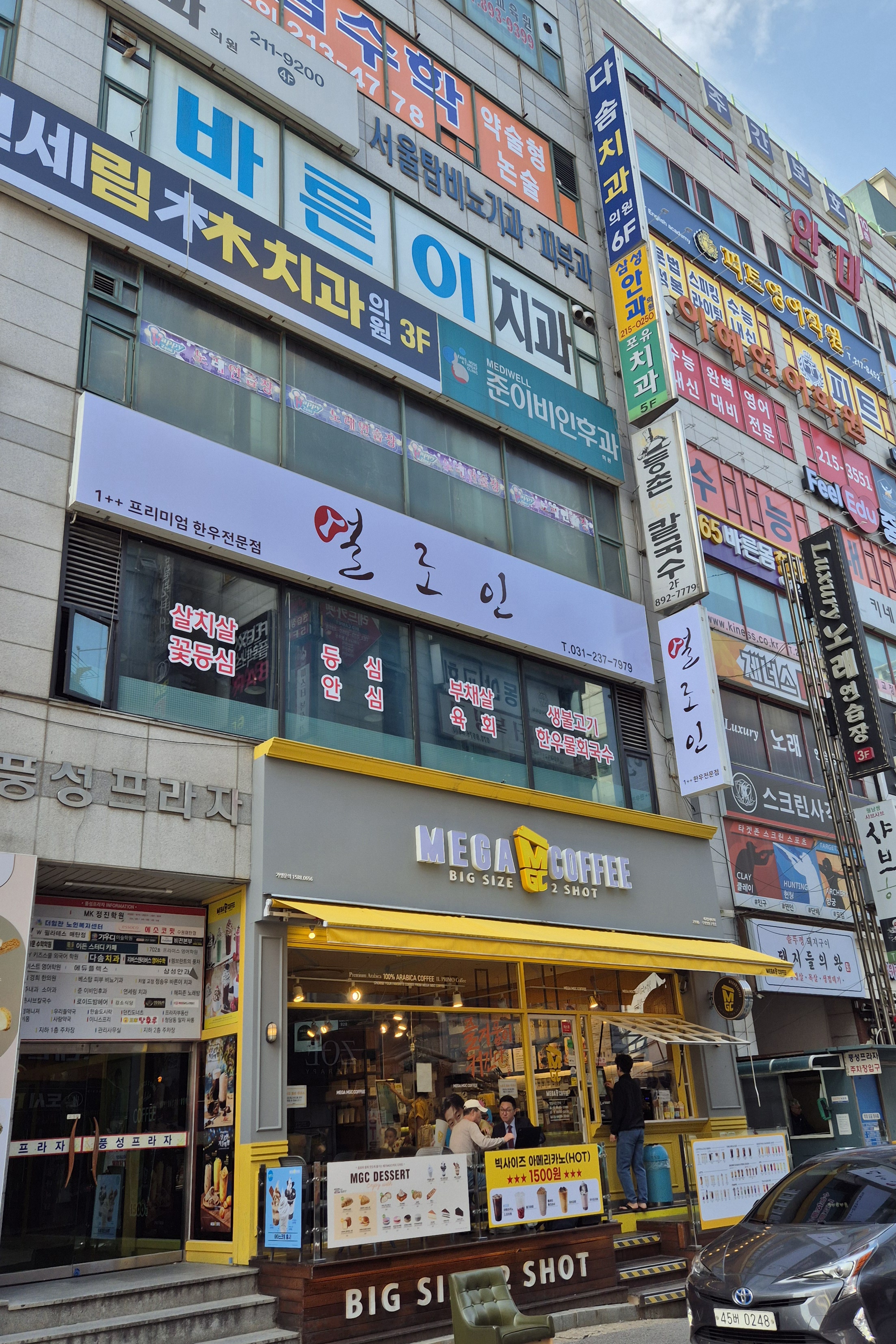 설로인 사진 4