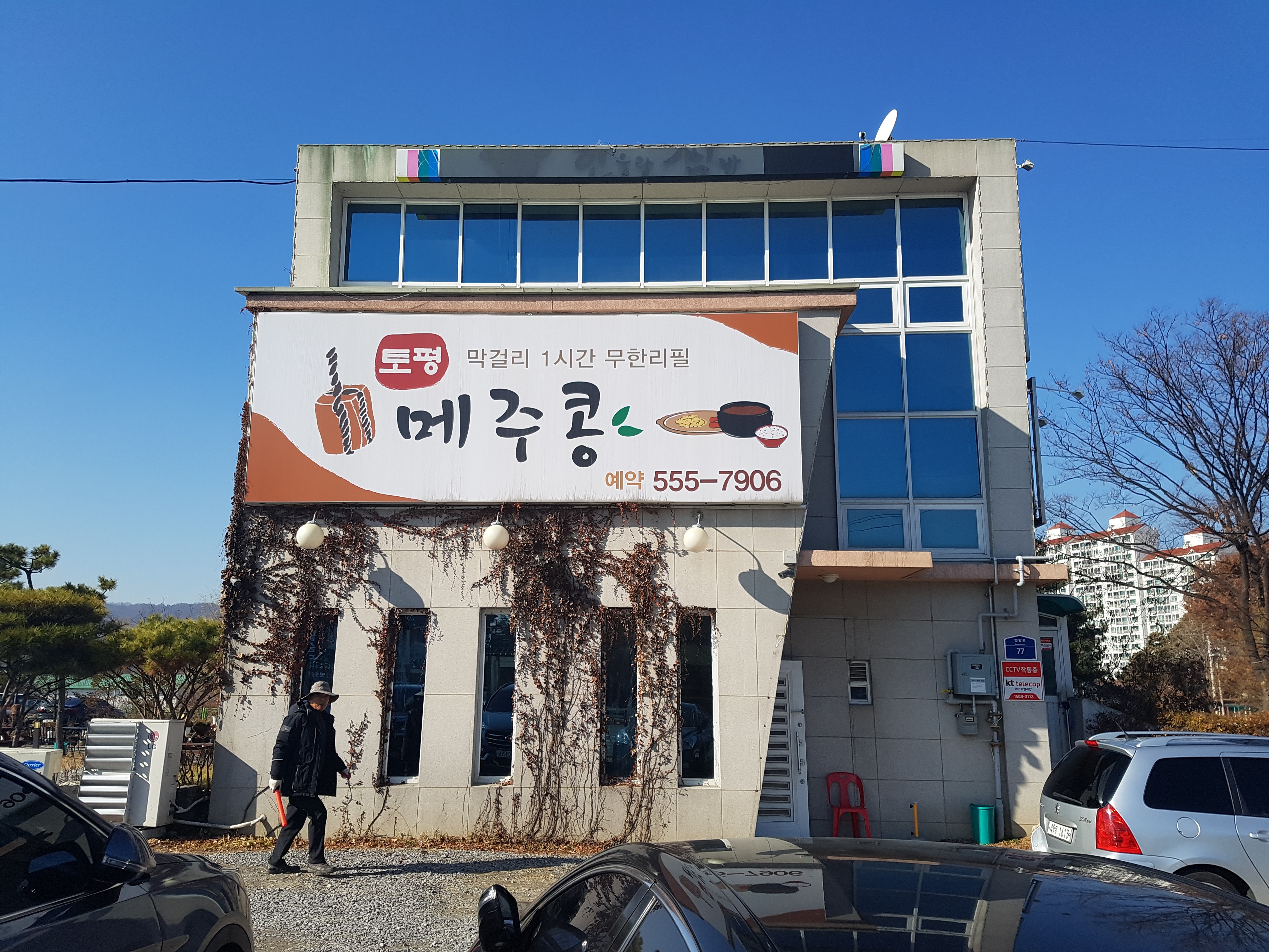 Topyeongmejukong (토평메주콩) 1
