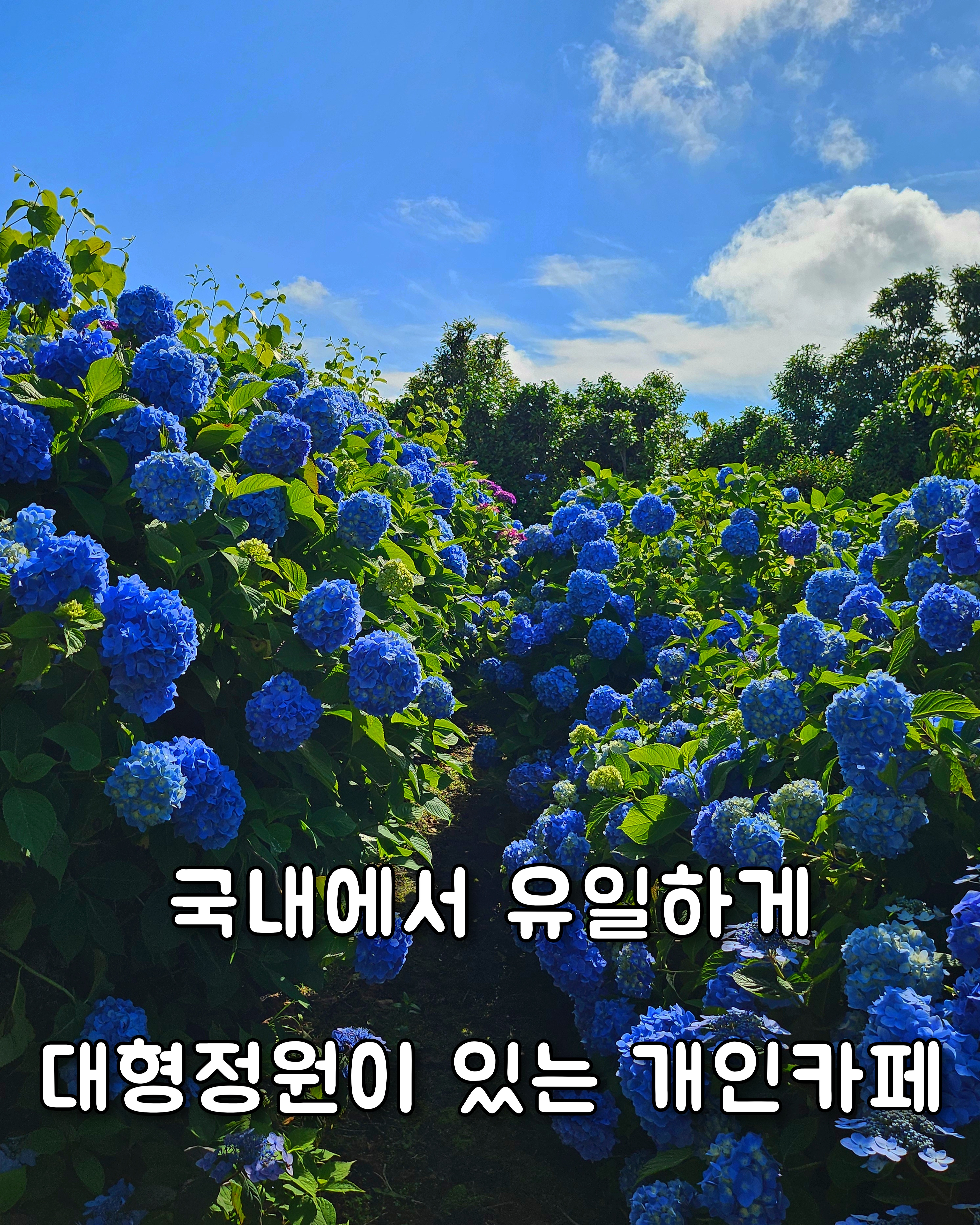 카페연이랑