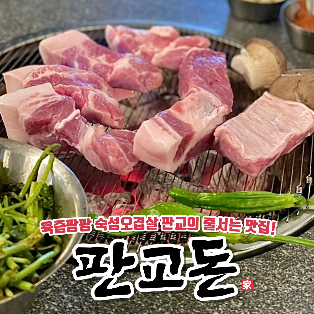 판교돈 사진 3