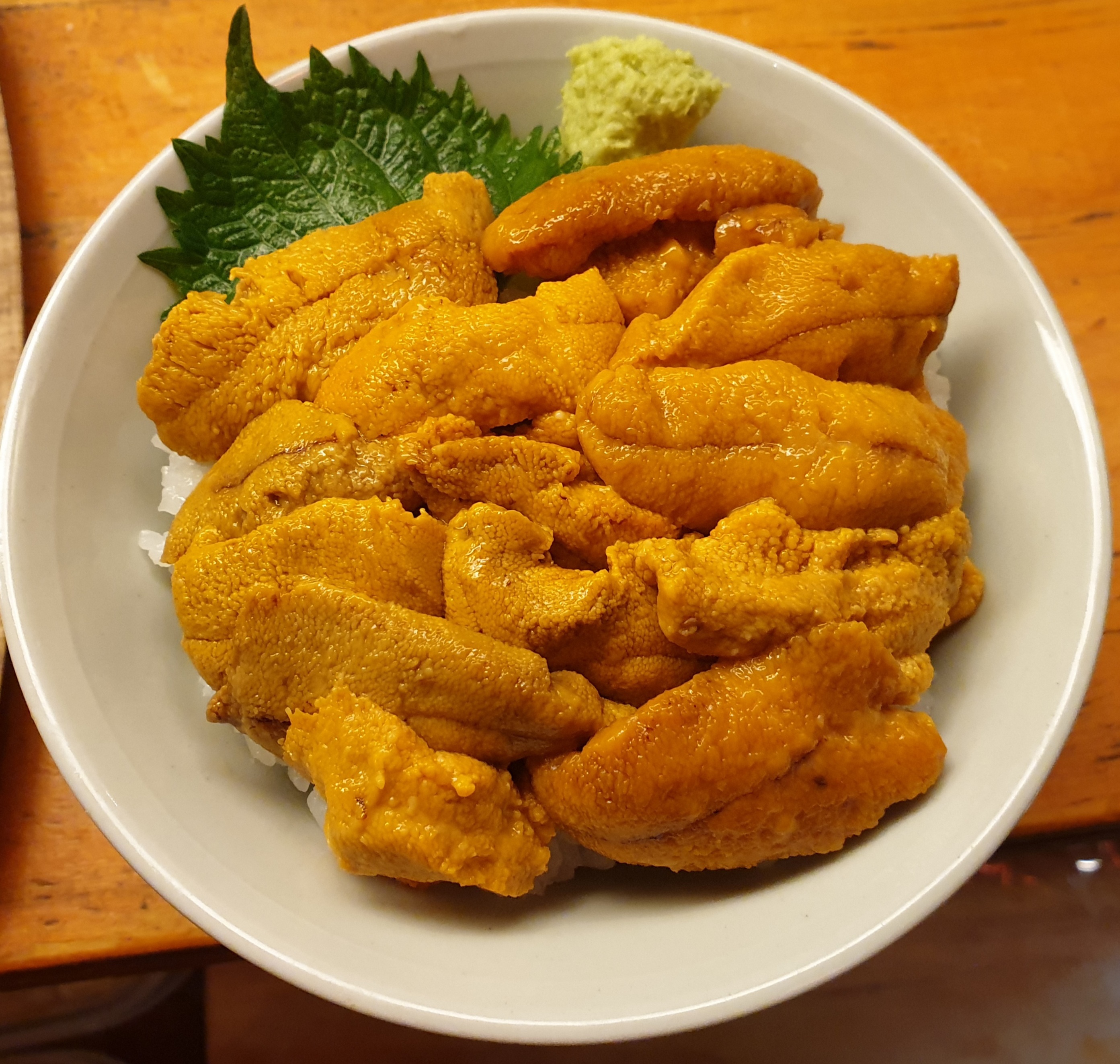 쵸쵸 사진 7