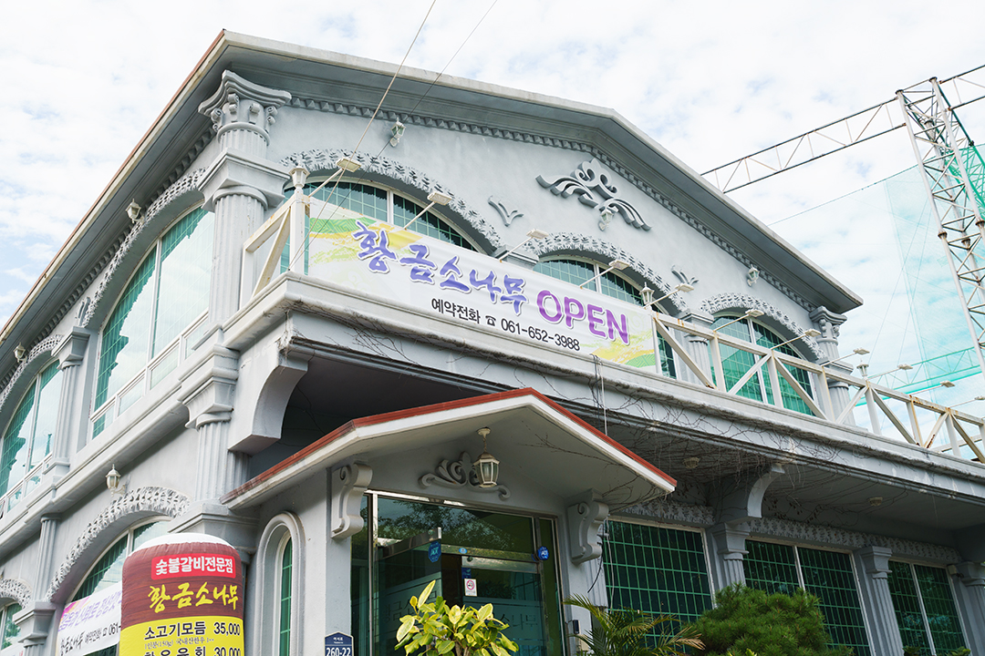 황금소나무 사진 2