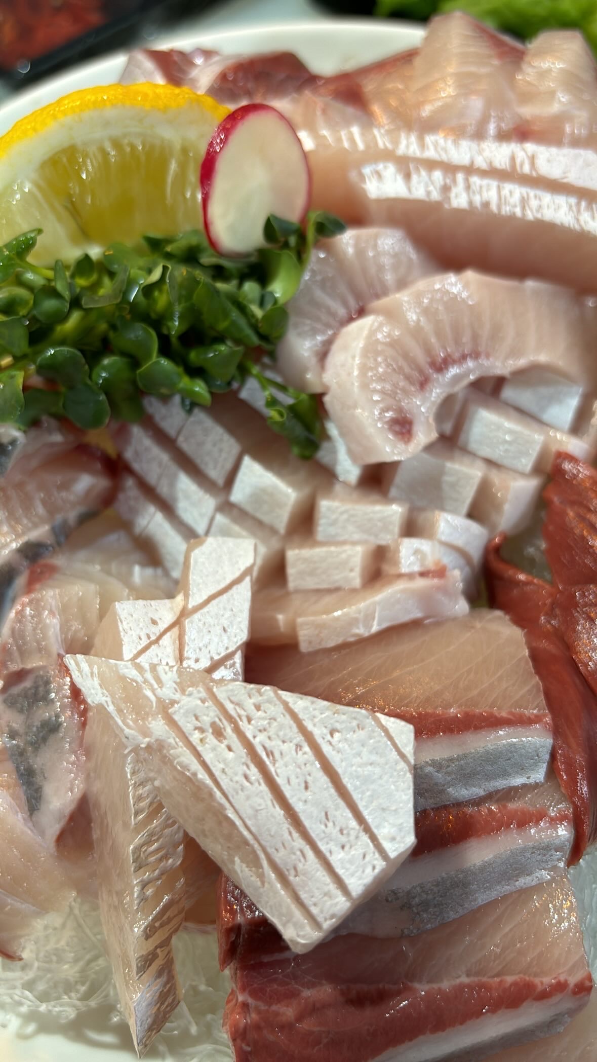 어왔니 사진 2