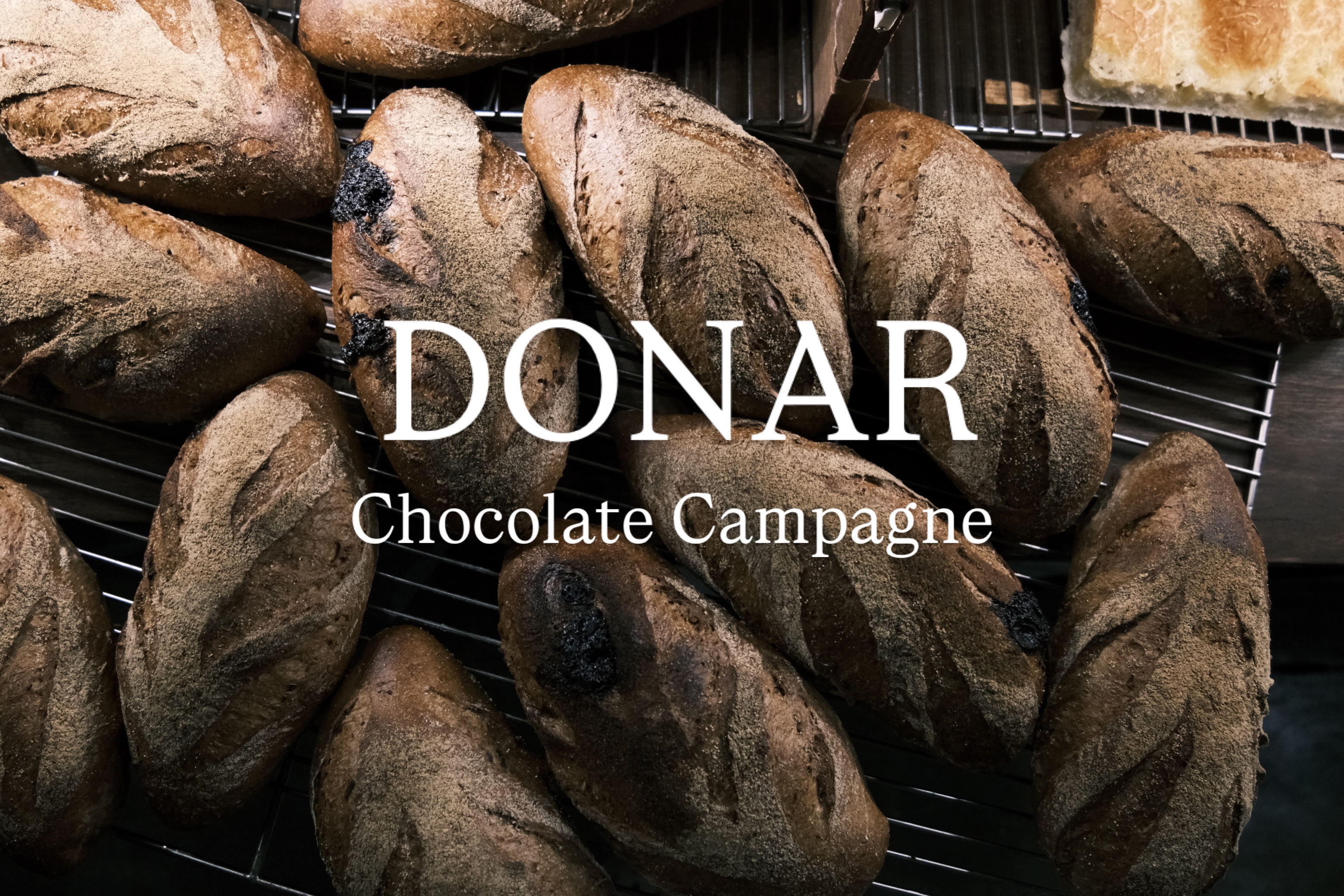 Donareu 1