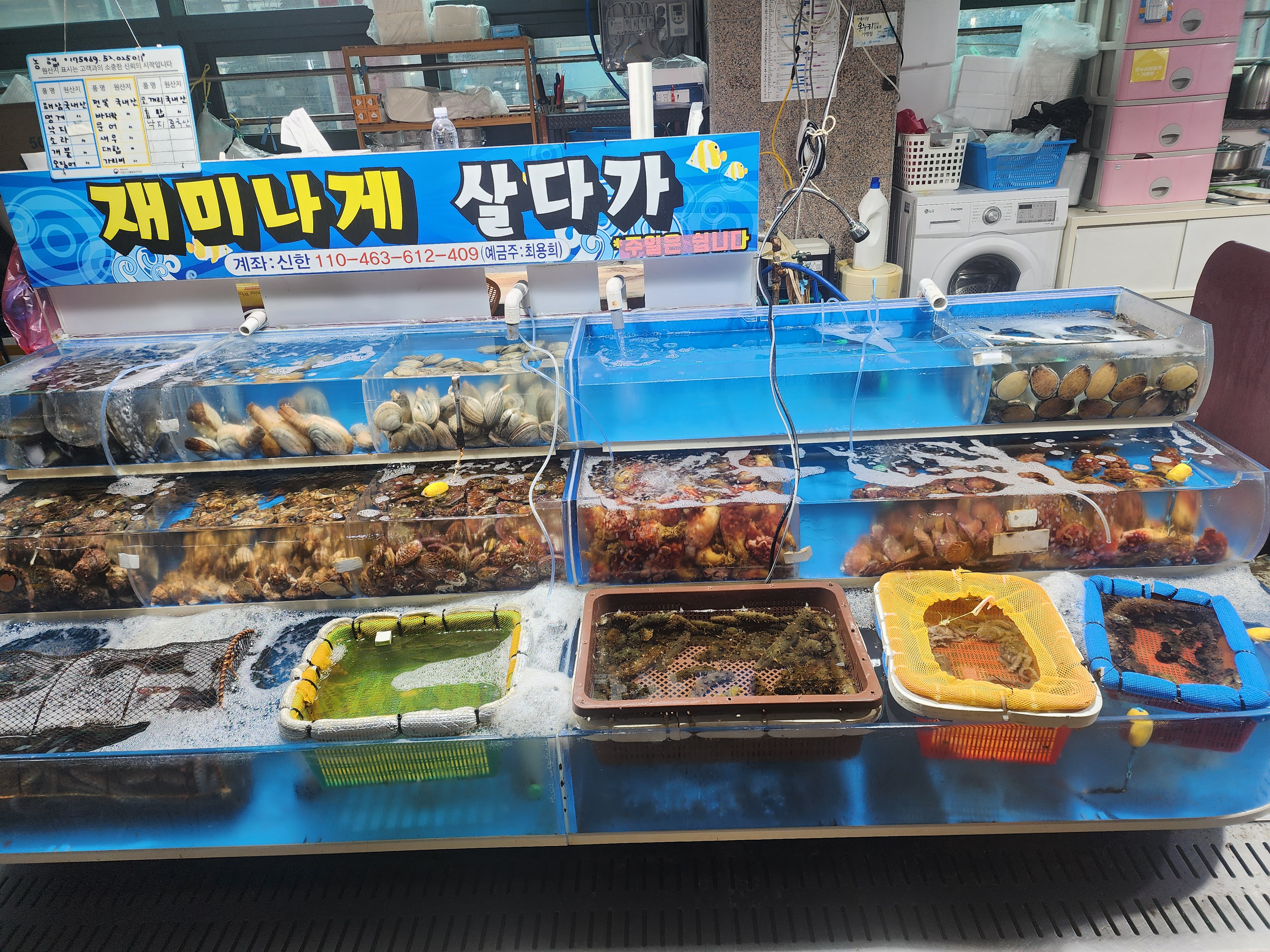 일이삼수산 사진 3