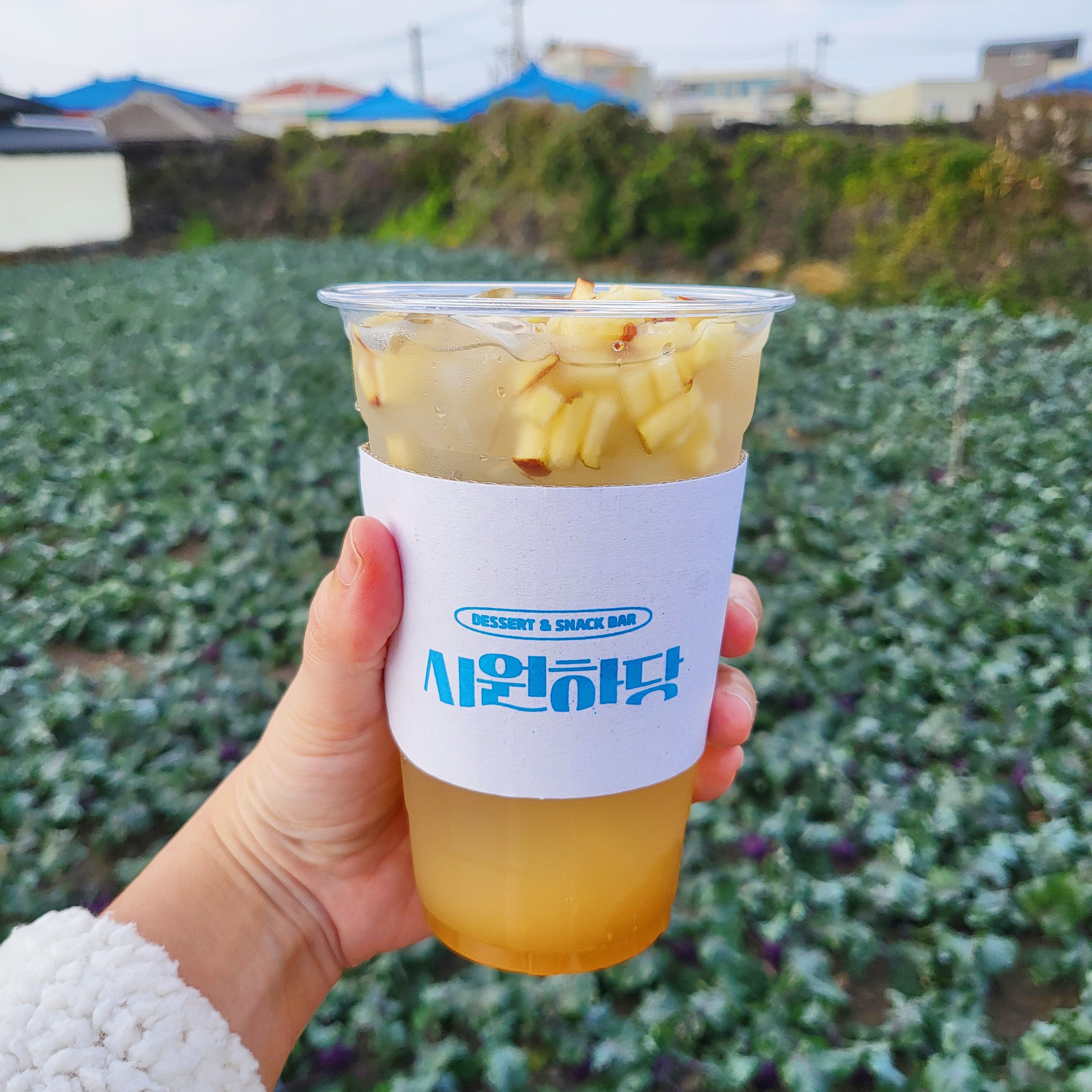 시원하당 사진 5