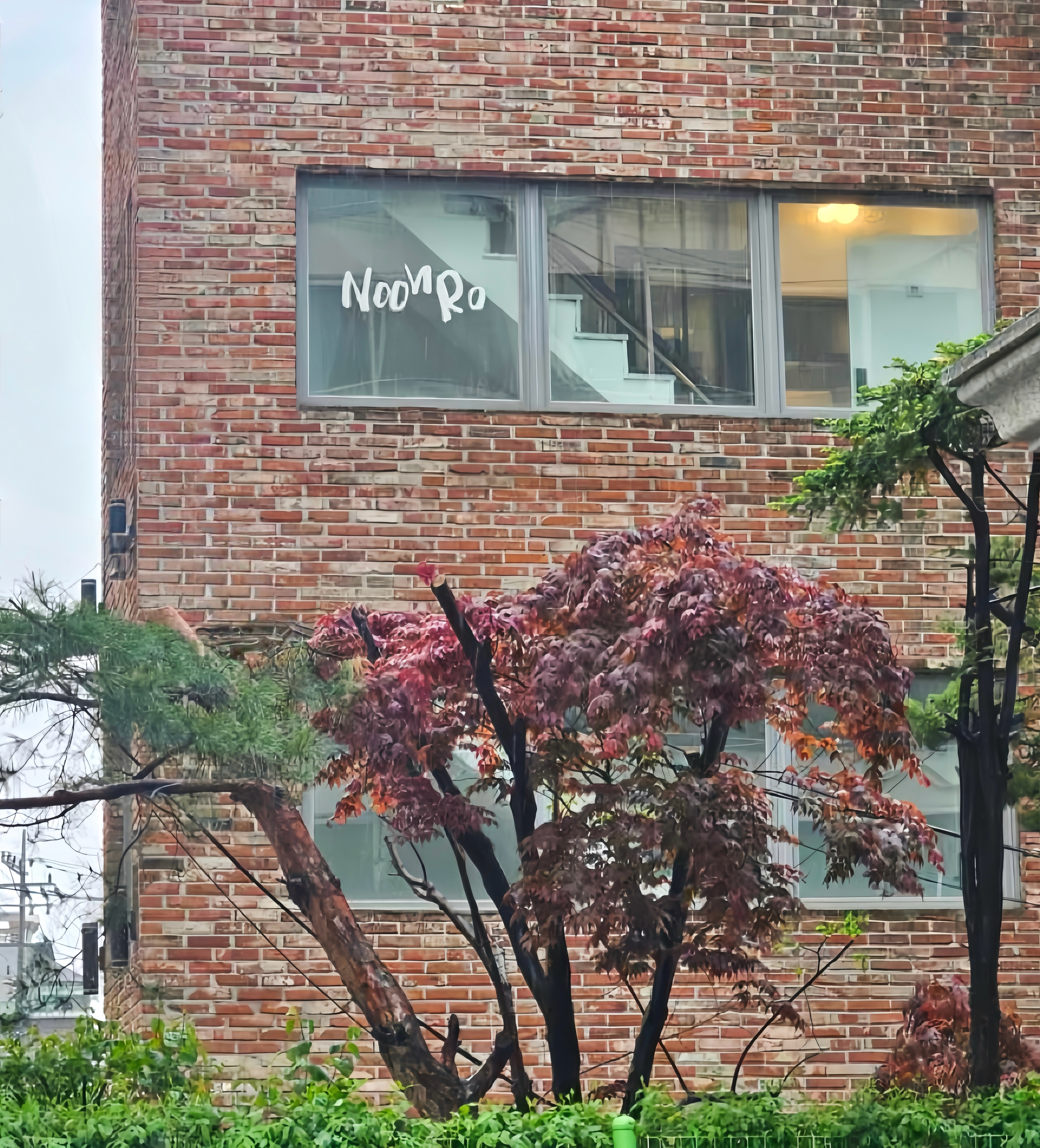 누느로 사진 2