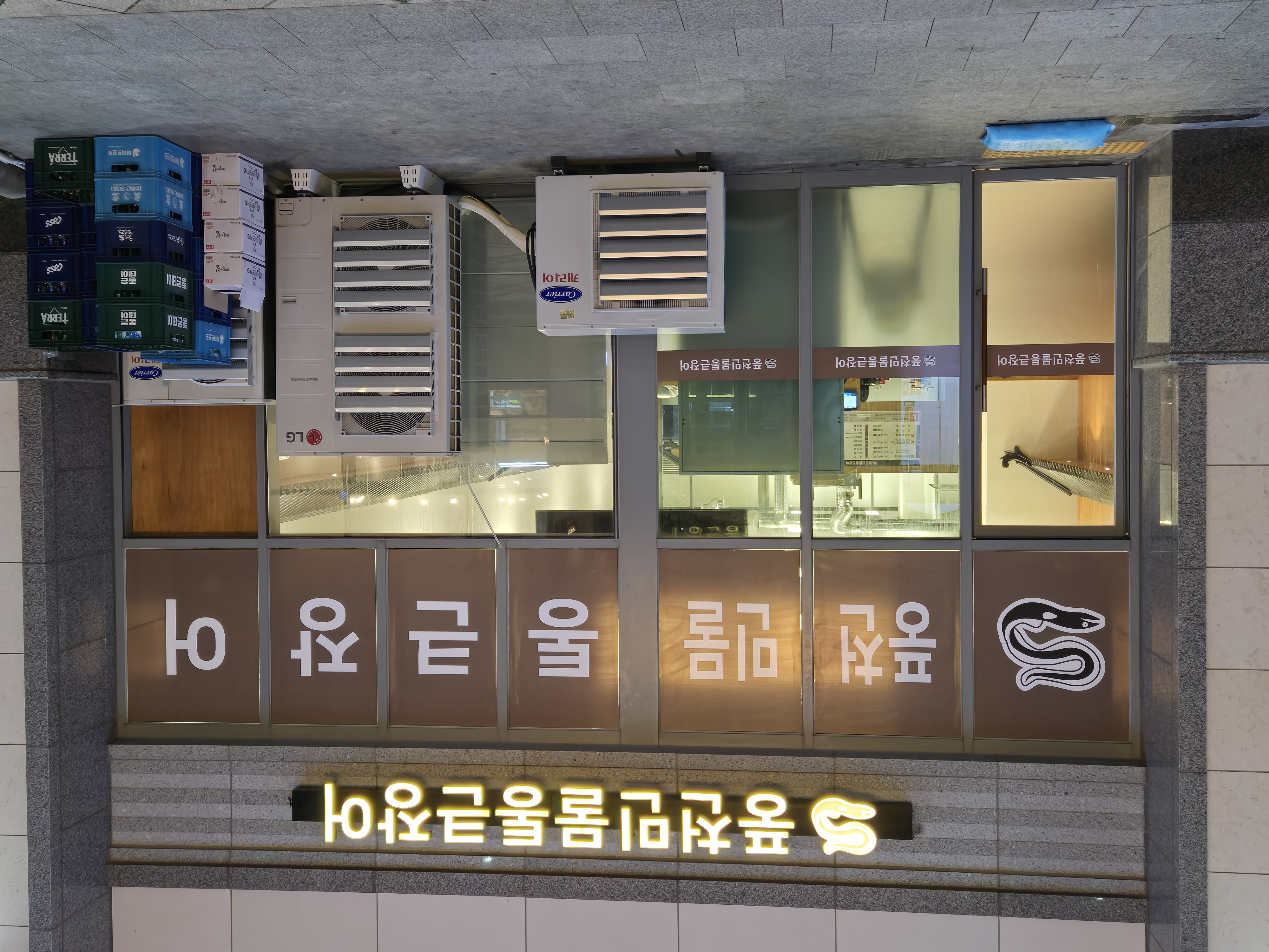 풍천민물통큰장어 사진 2