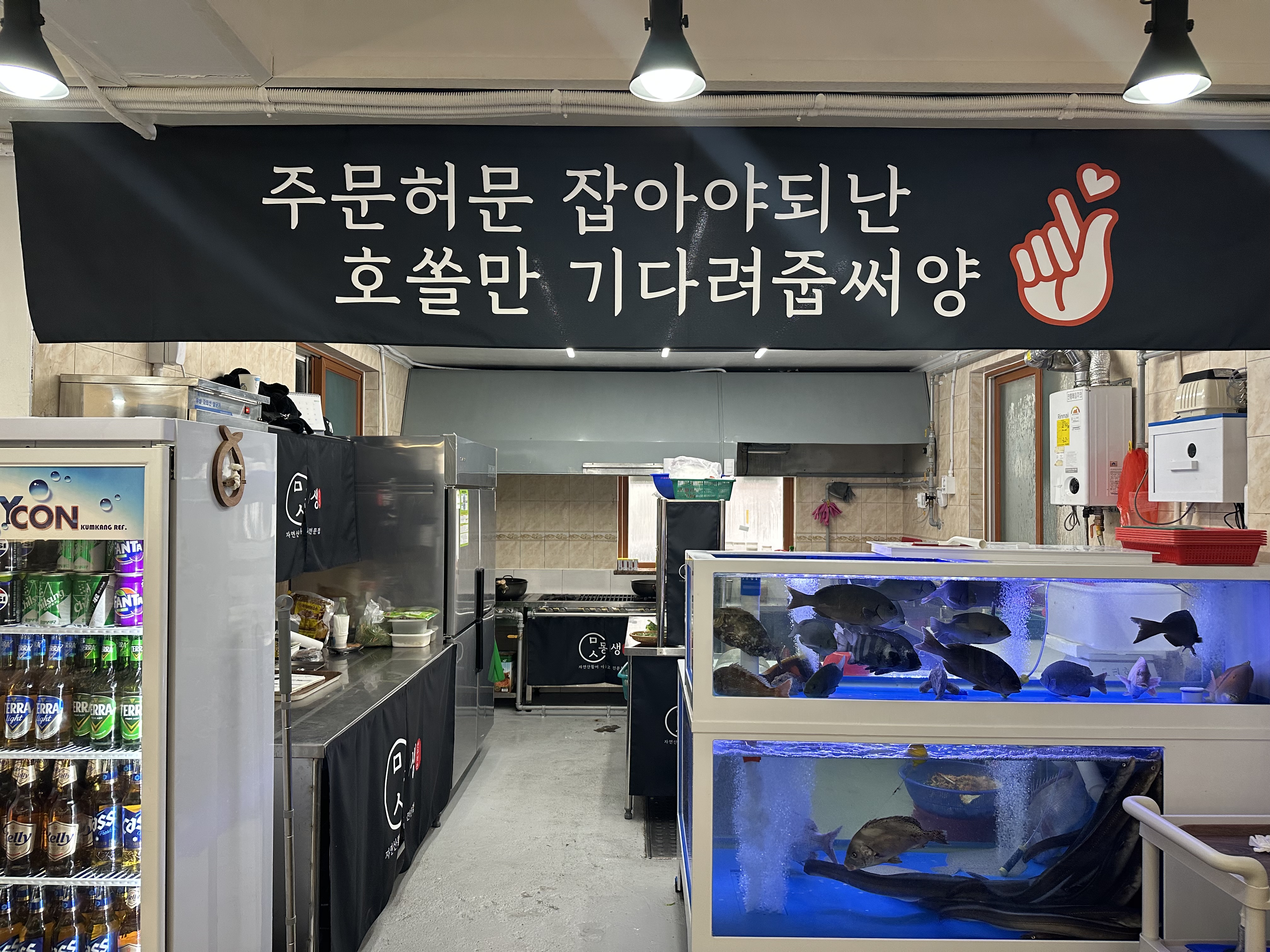 몽생 사진 6