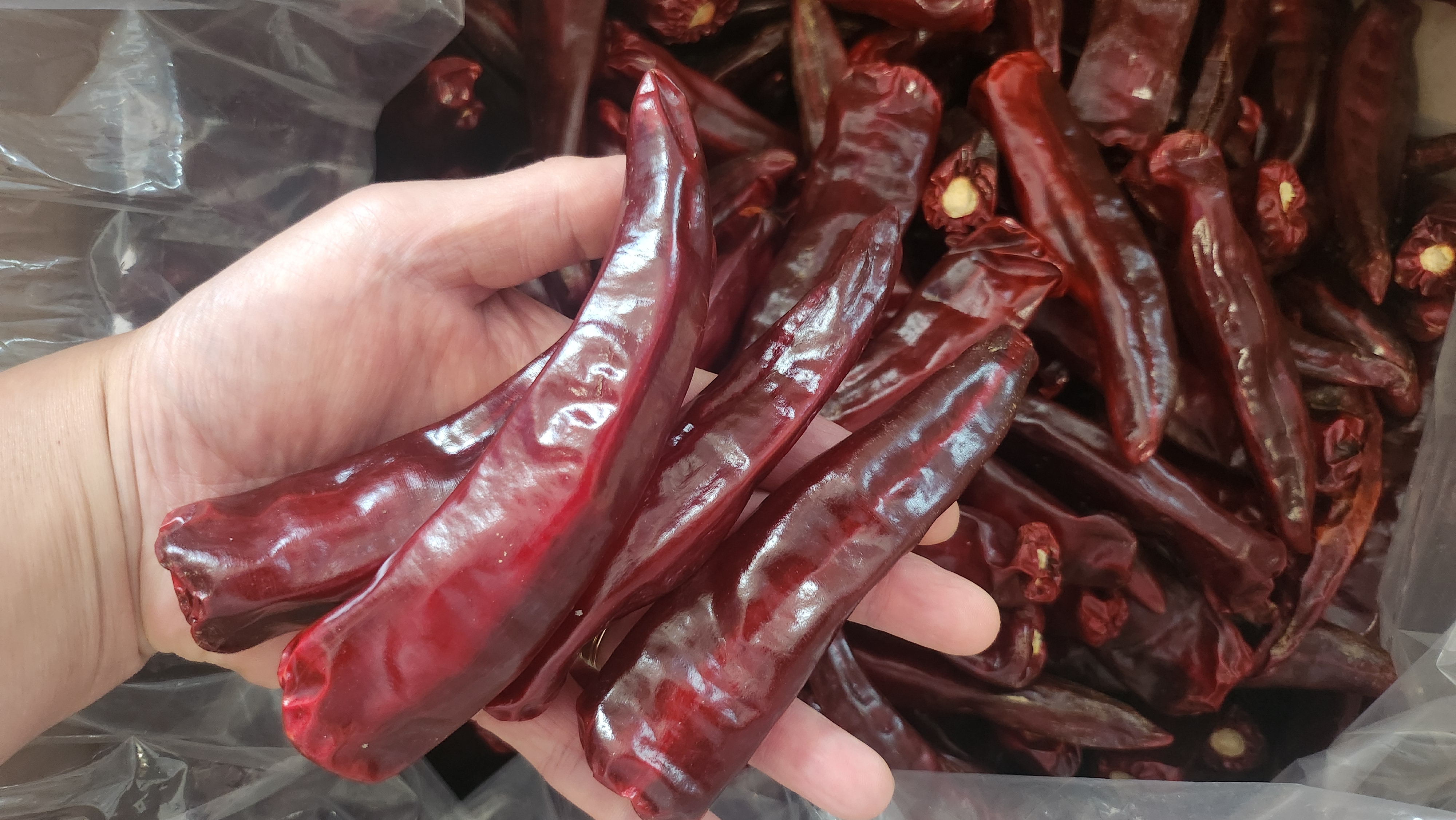 엄마김치야 사진 5
