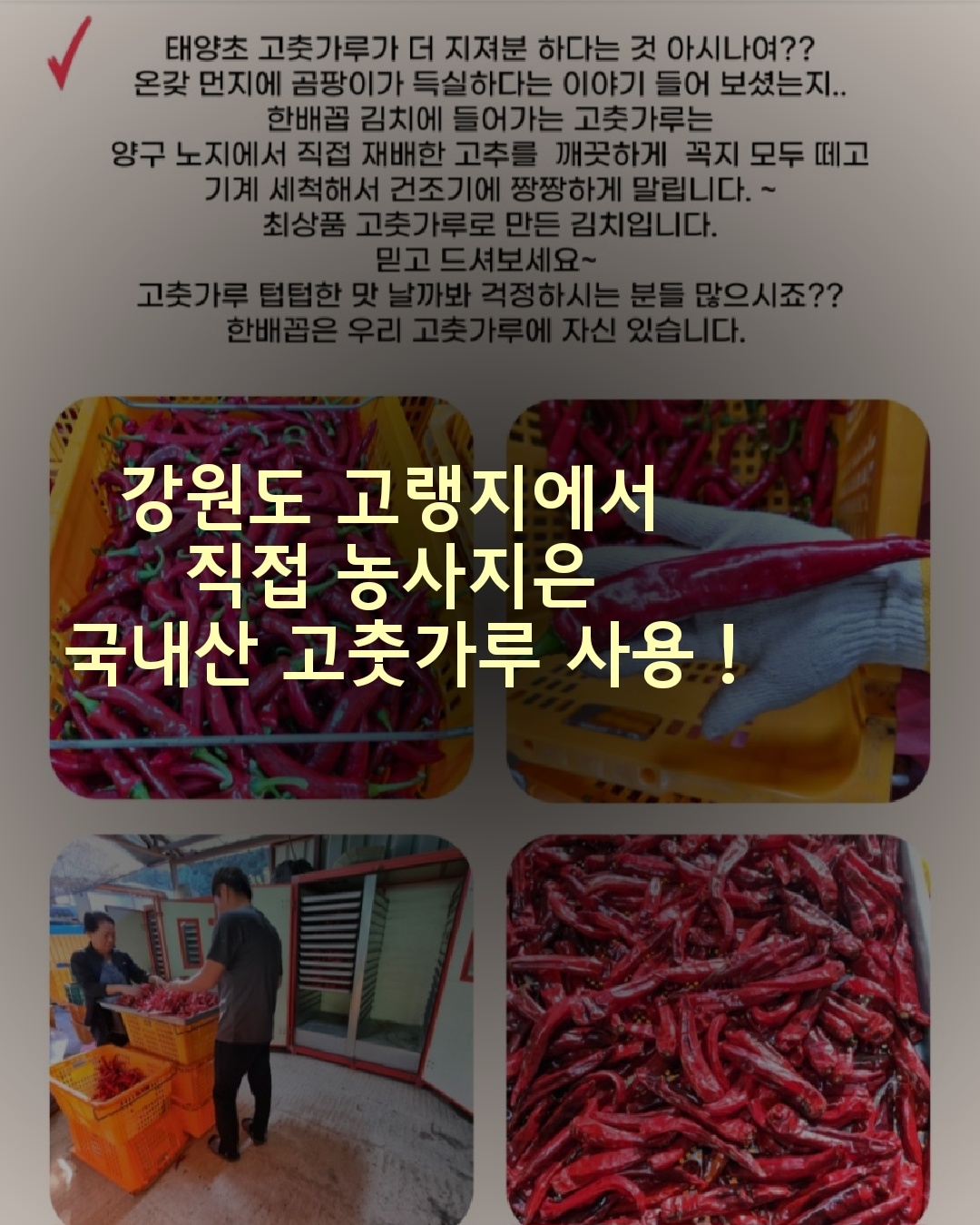 Hanbaekkopyennalsonsundae 4