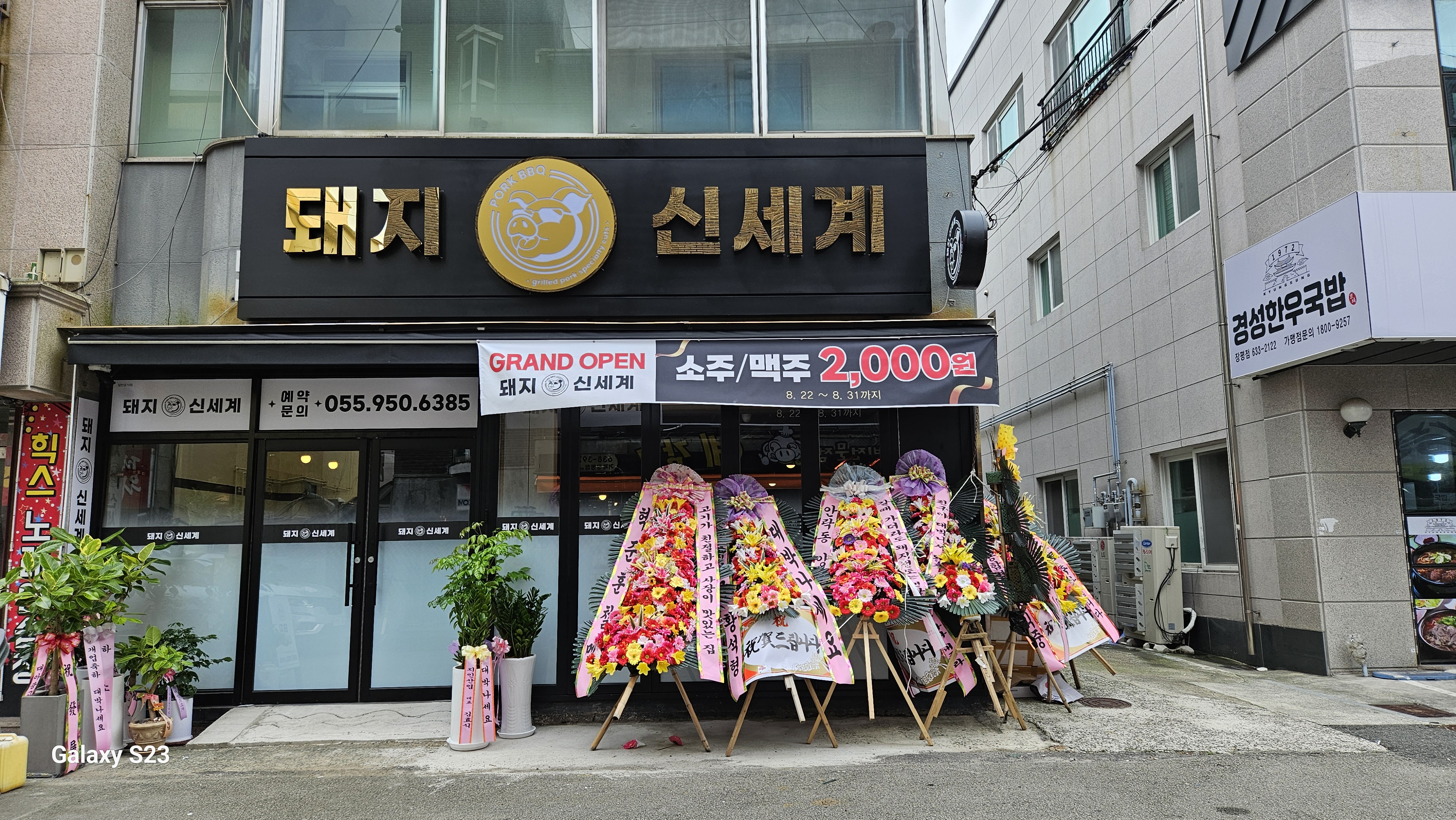 돼지신세계 사진 4