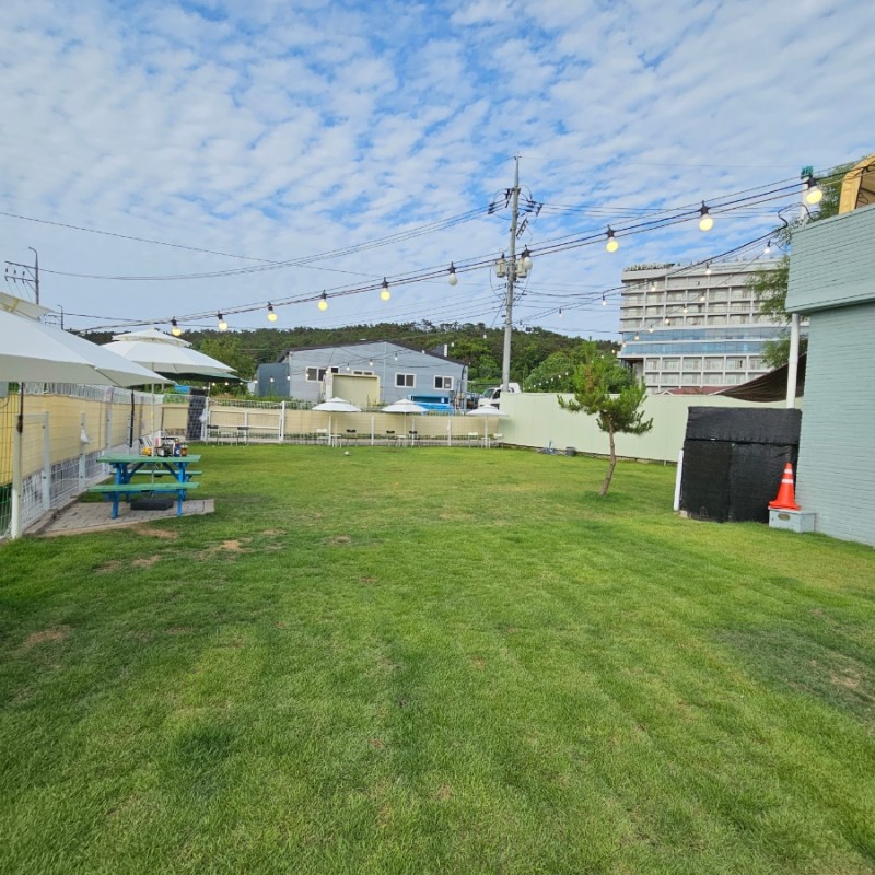 더멍스