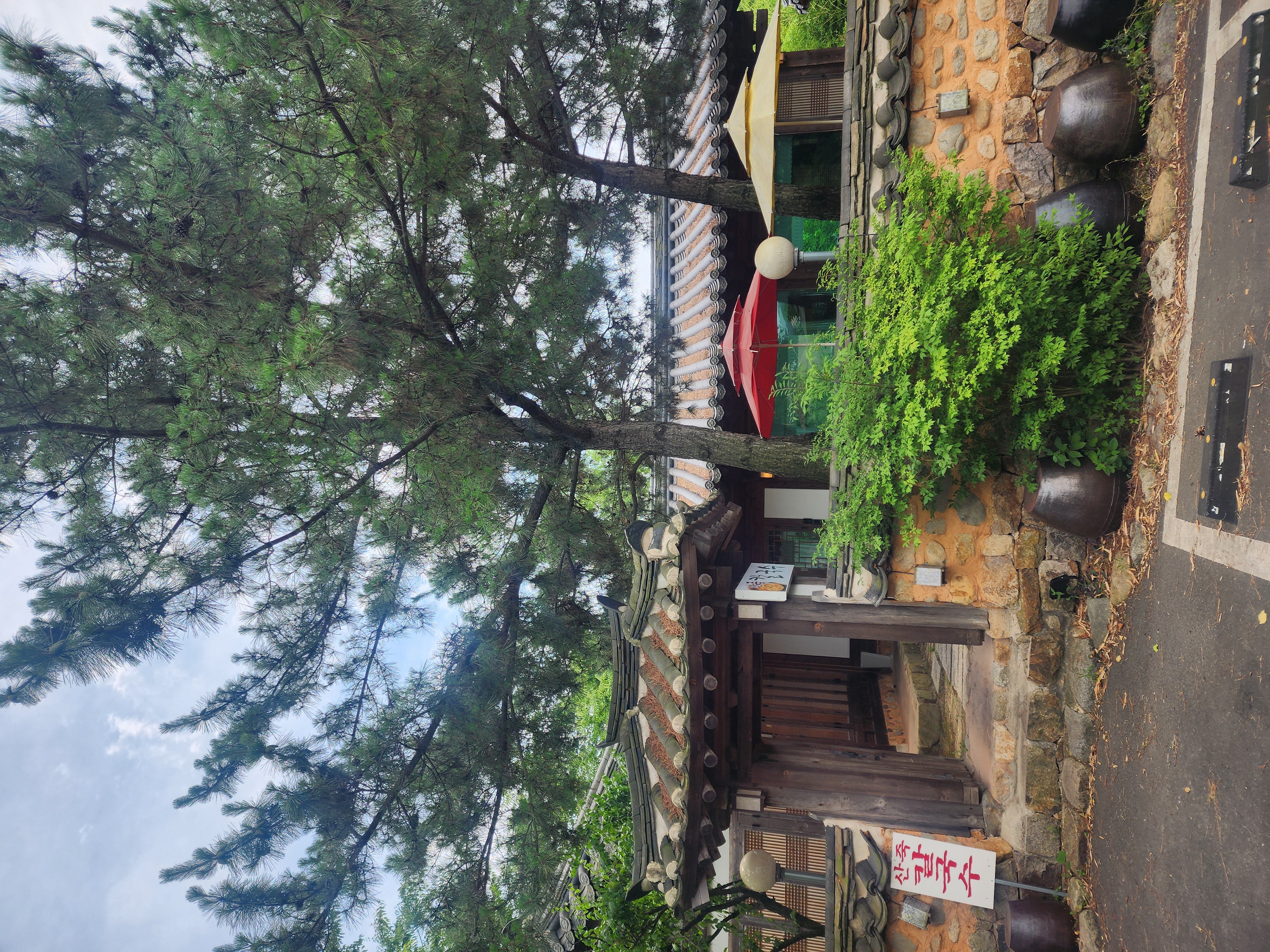 산죽칼국수 대표 사진
