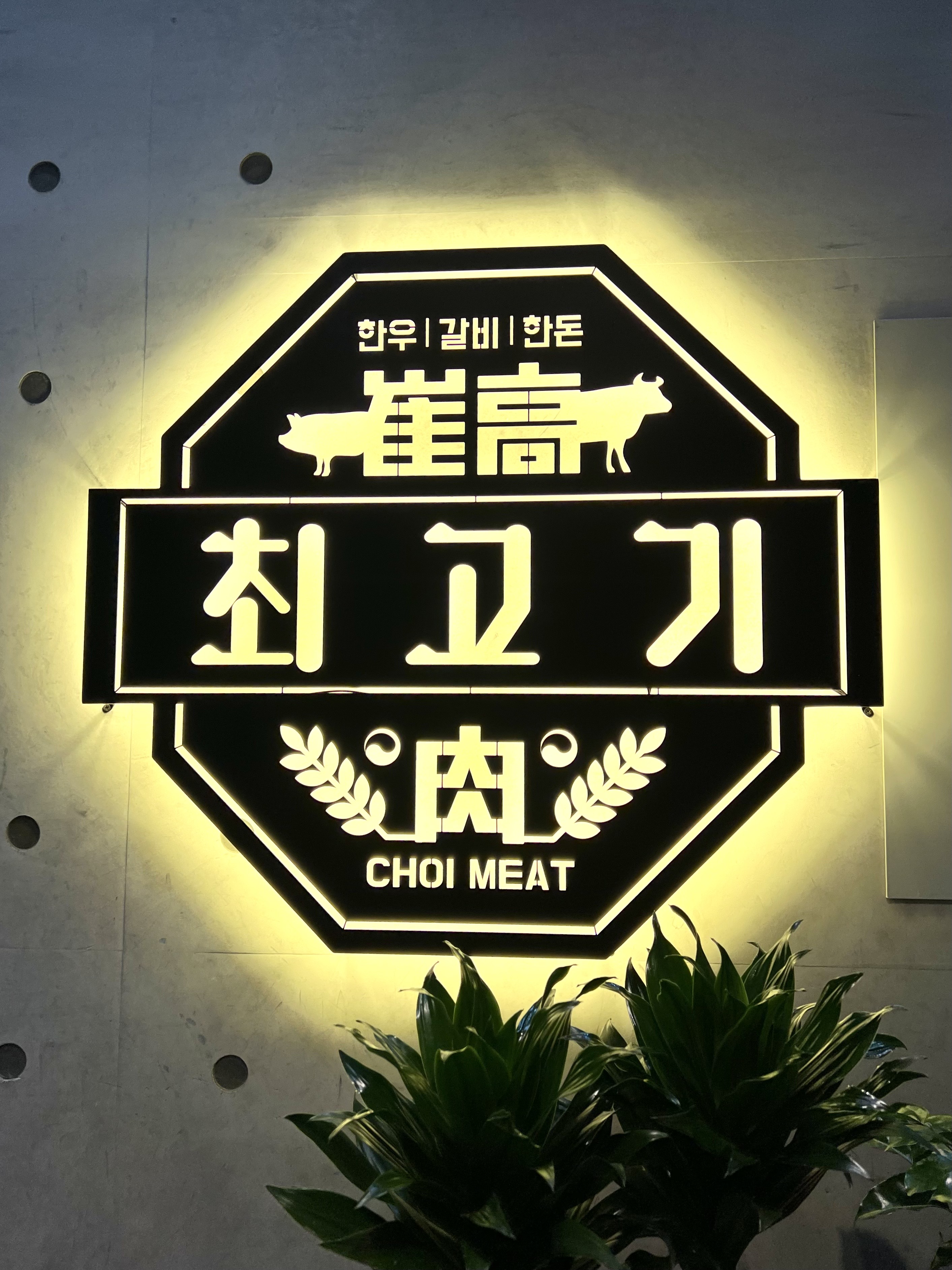 최고기 대표 사진
