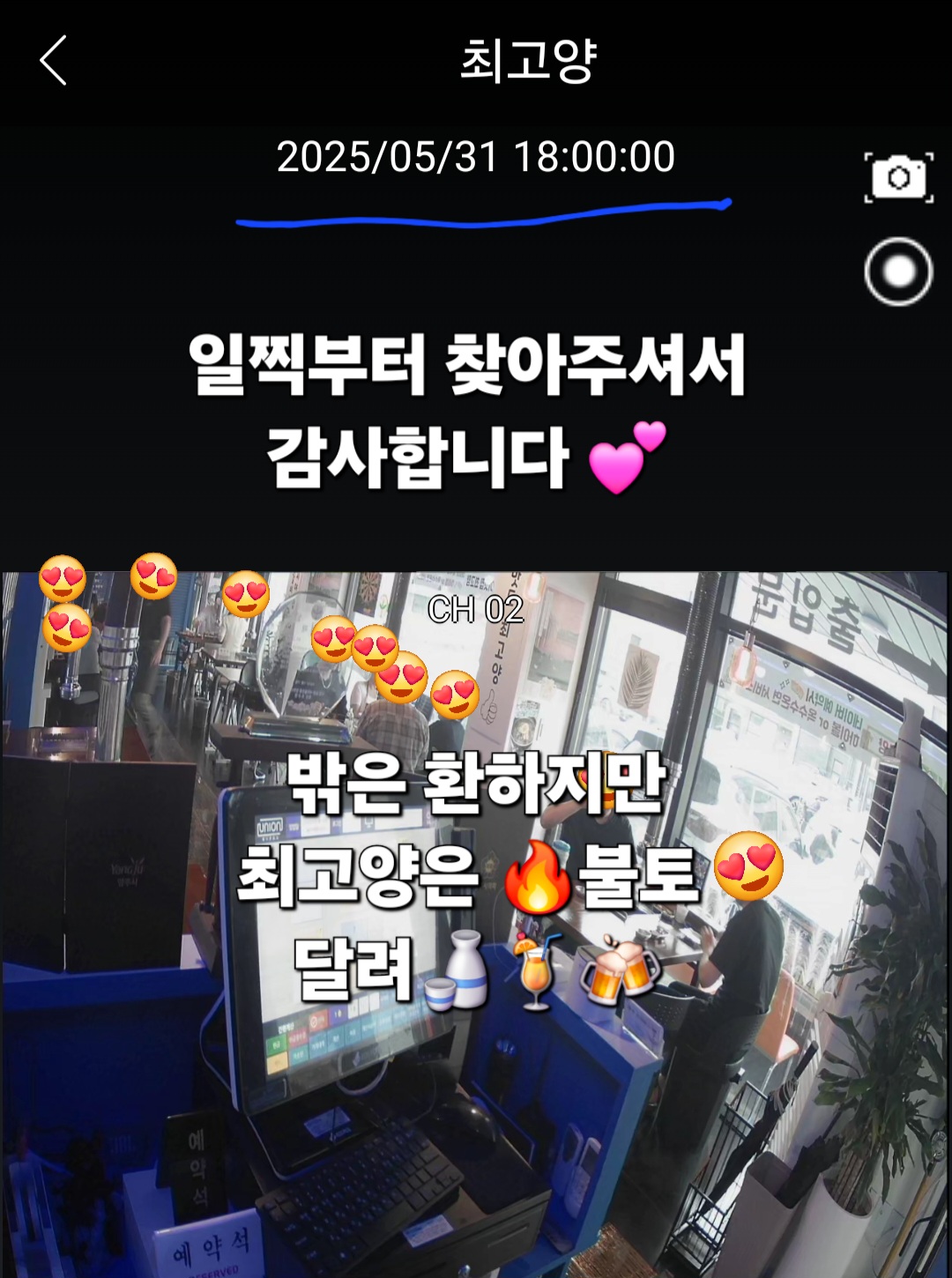최고양 5