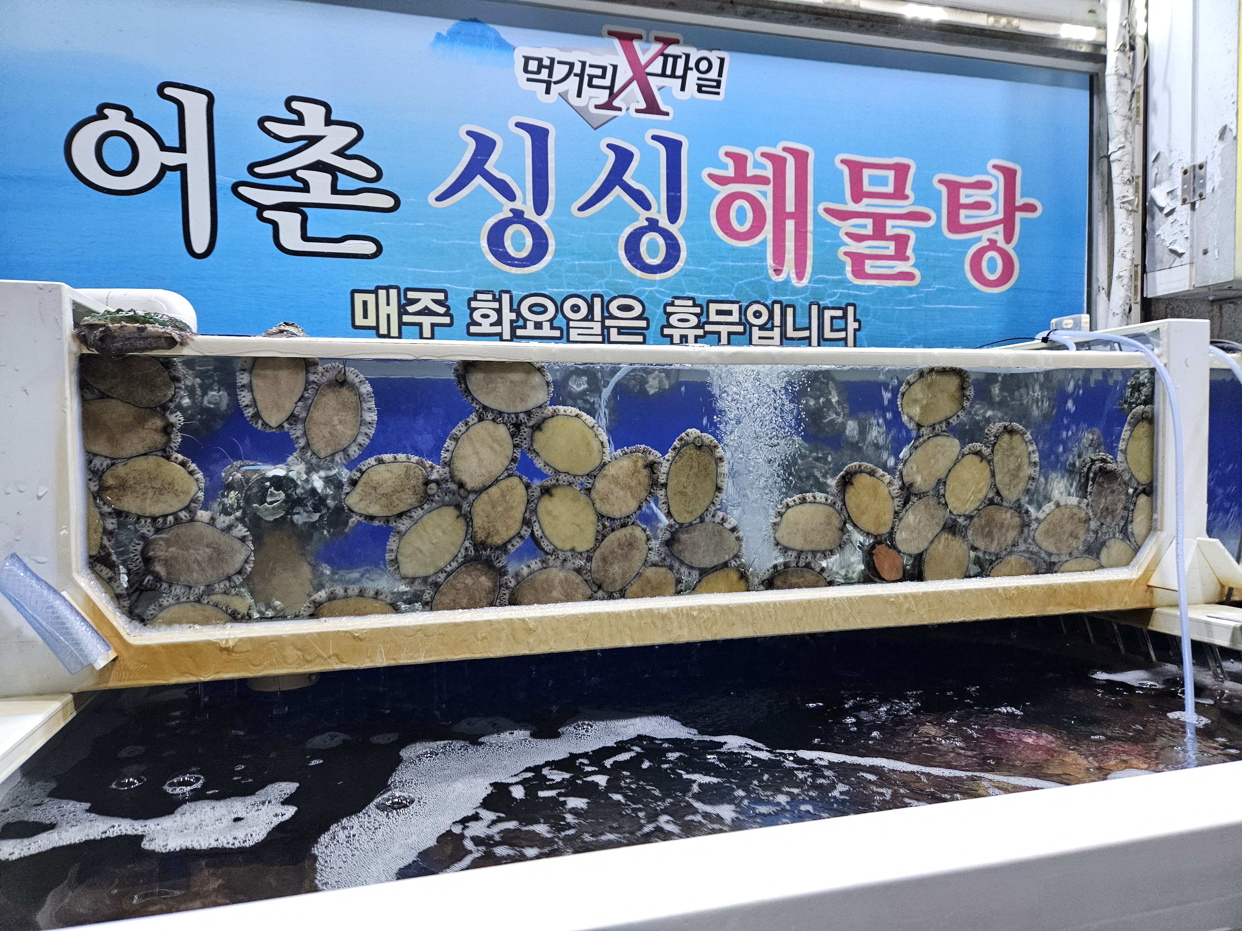 어촌싱싱해물탕 사진 5