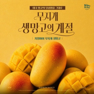 샤브올데이 분당오리역점 사진 4