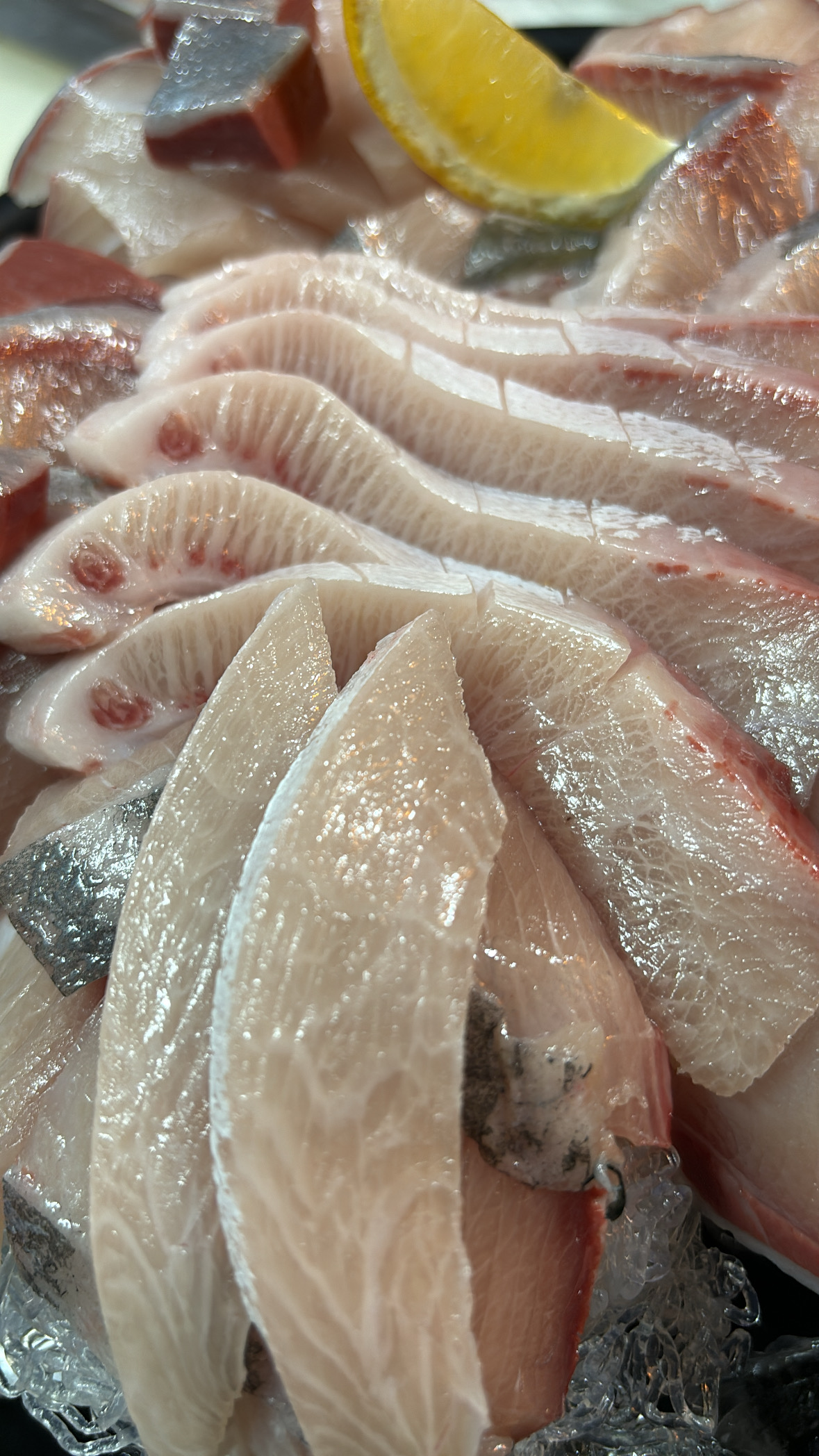 어왔니 사진 4