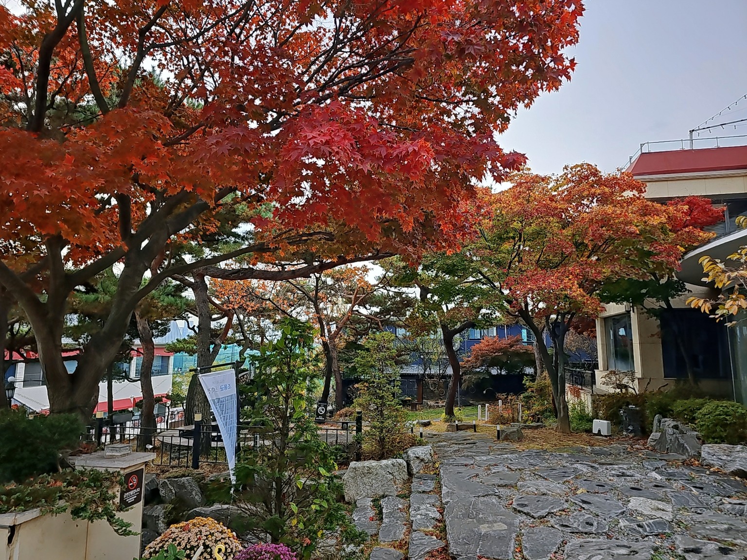 Ateurium 5