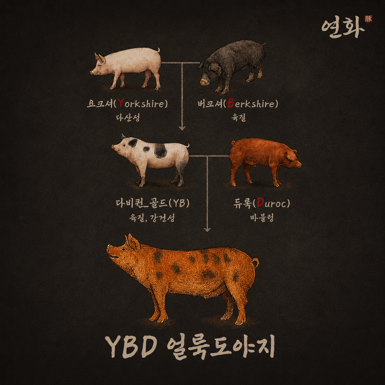 연화 사진 7