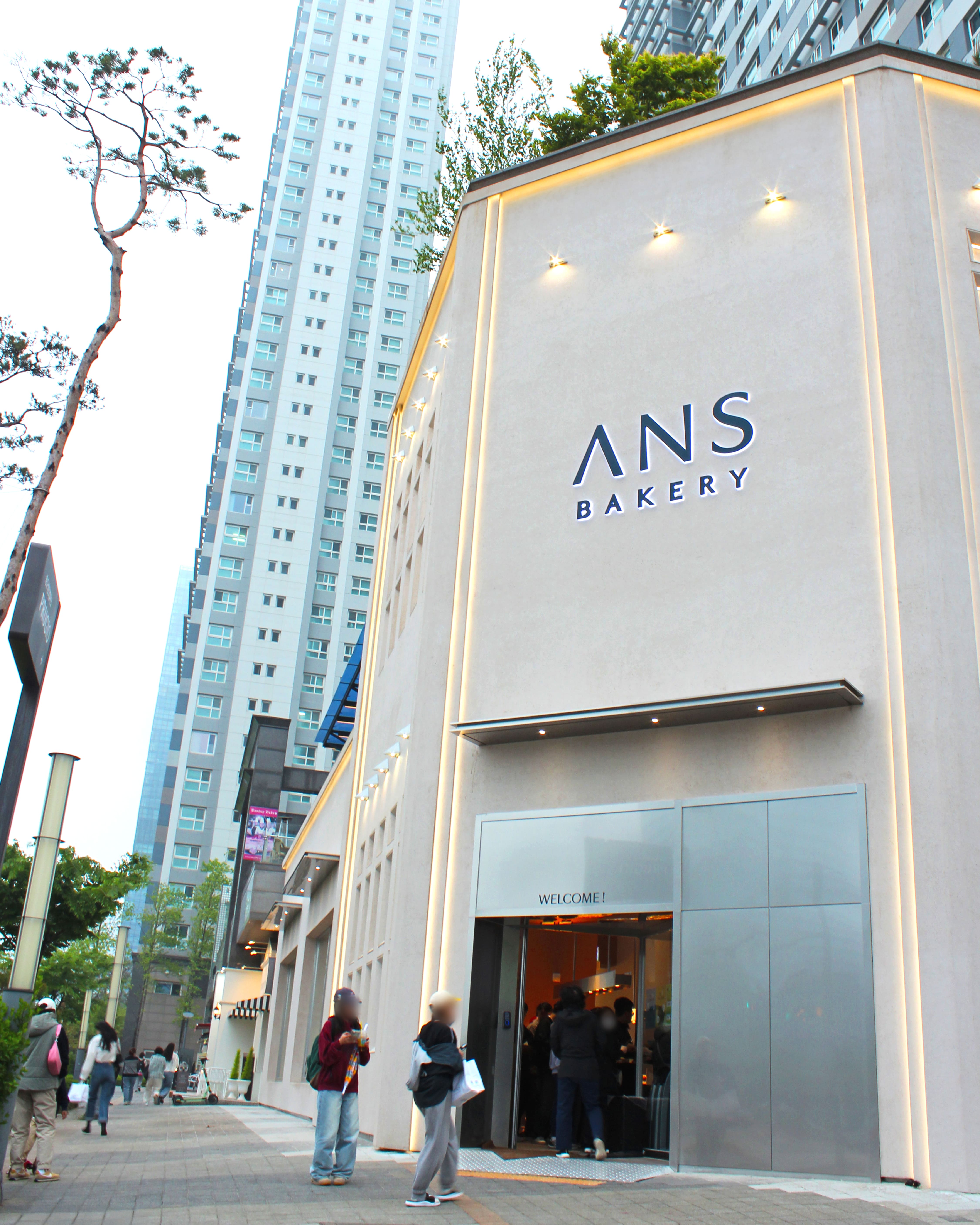 Anseu 6