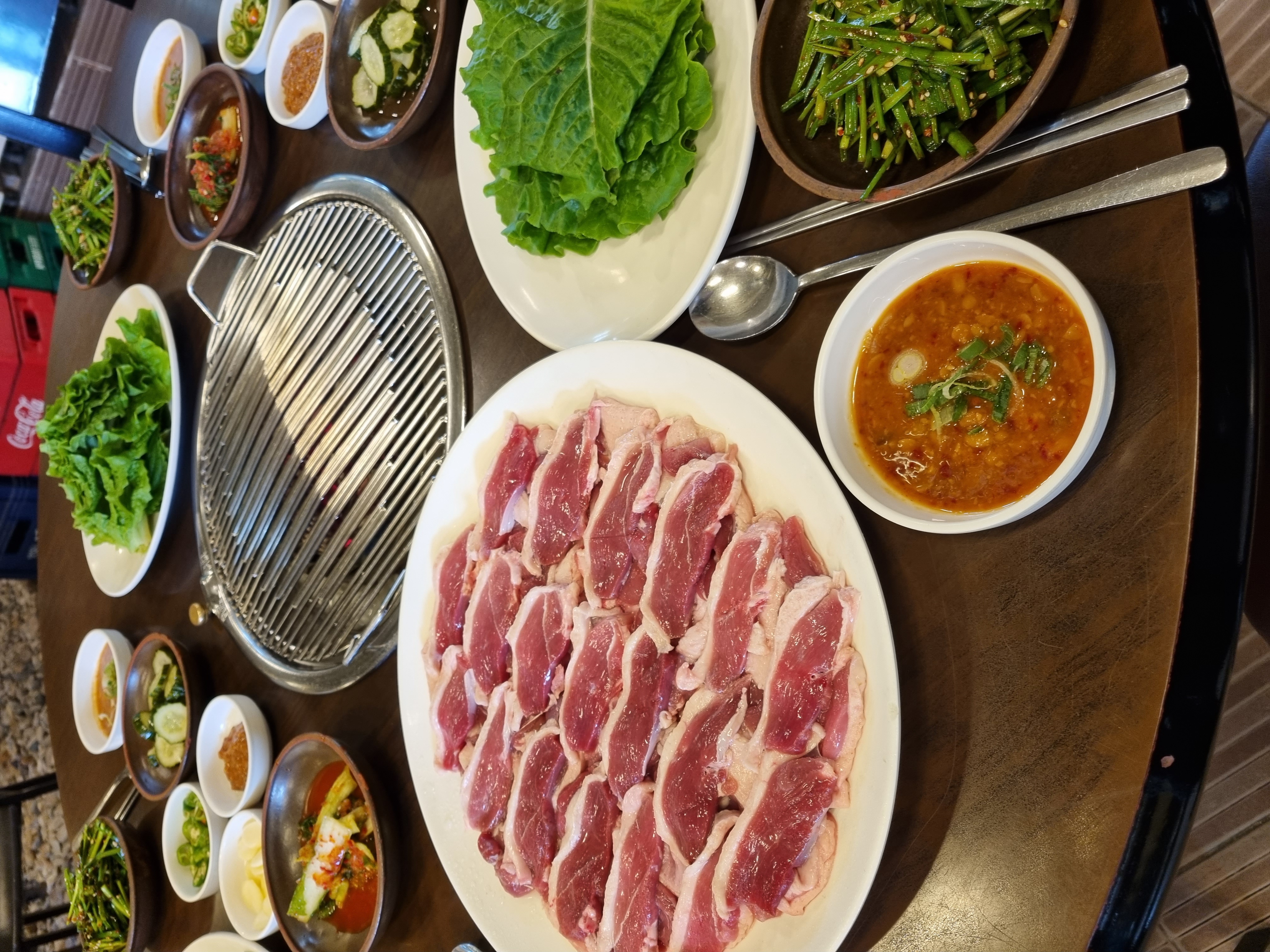 낙동생오리 5