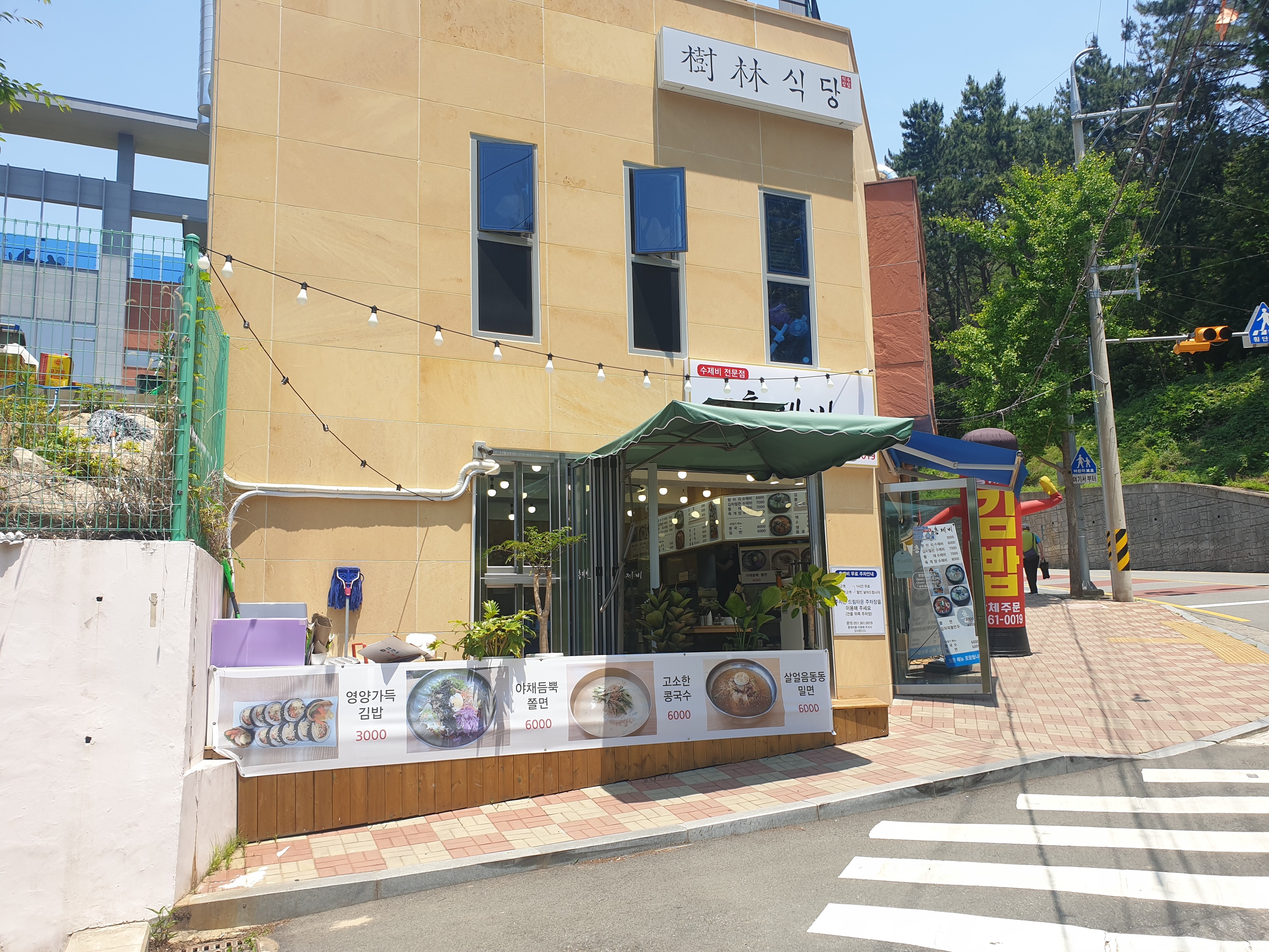 흥제비 사진 2