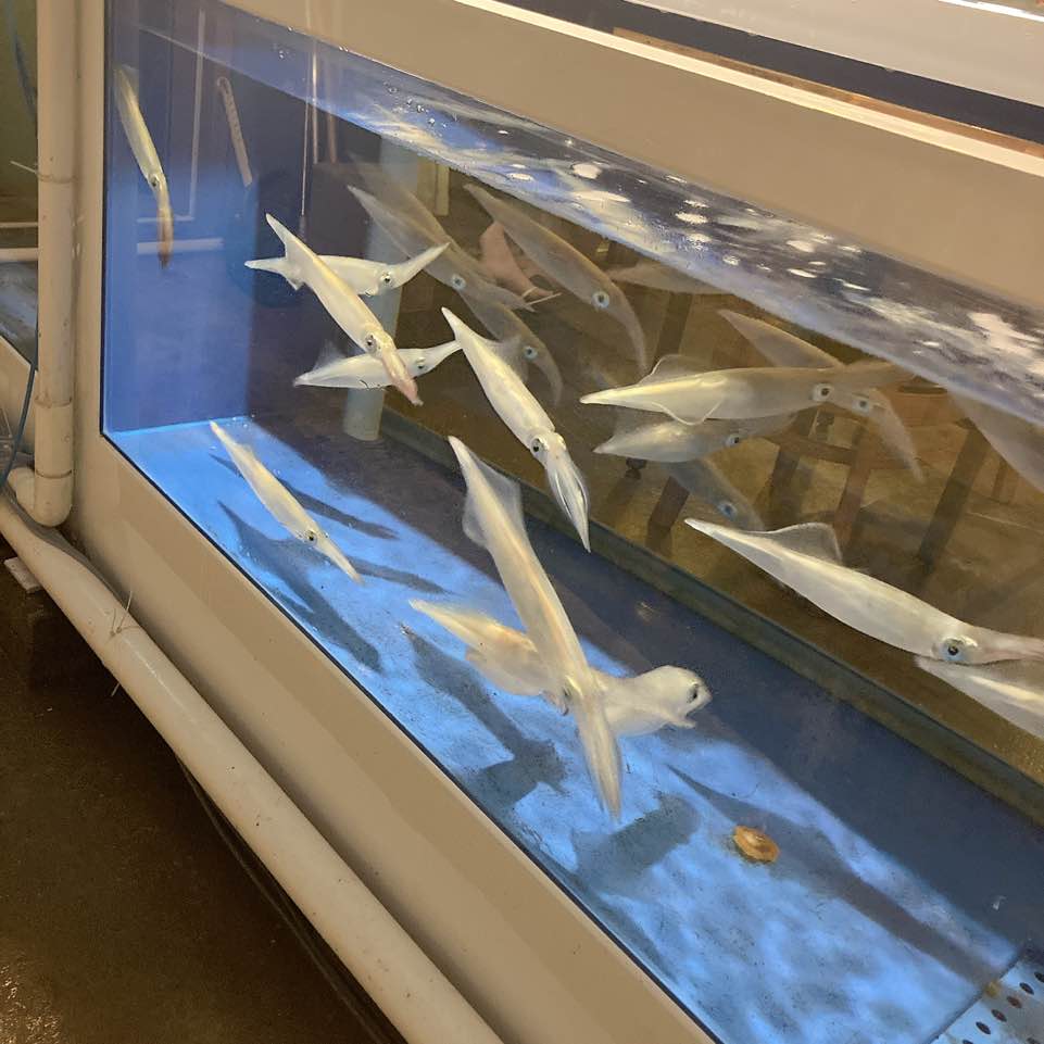 종달사거리 사진 3