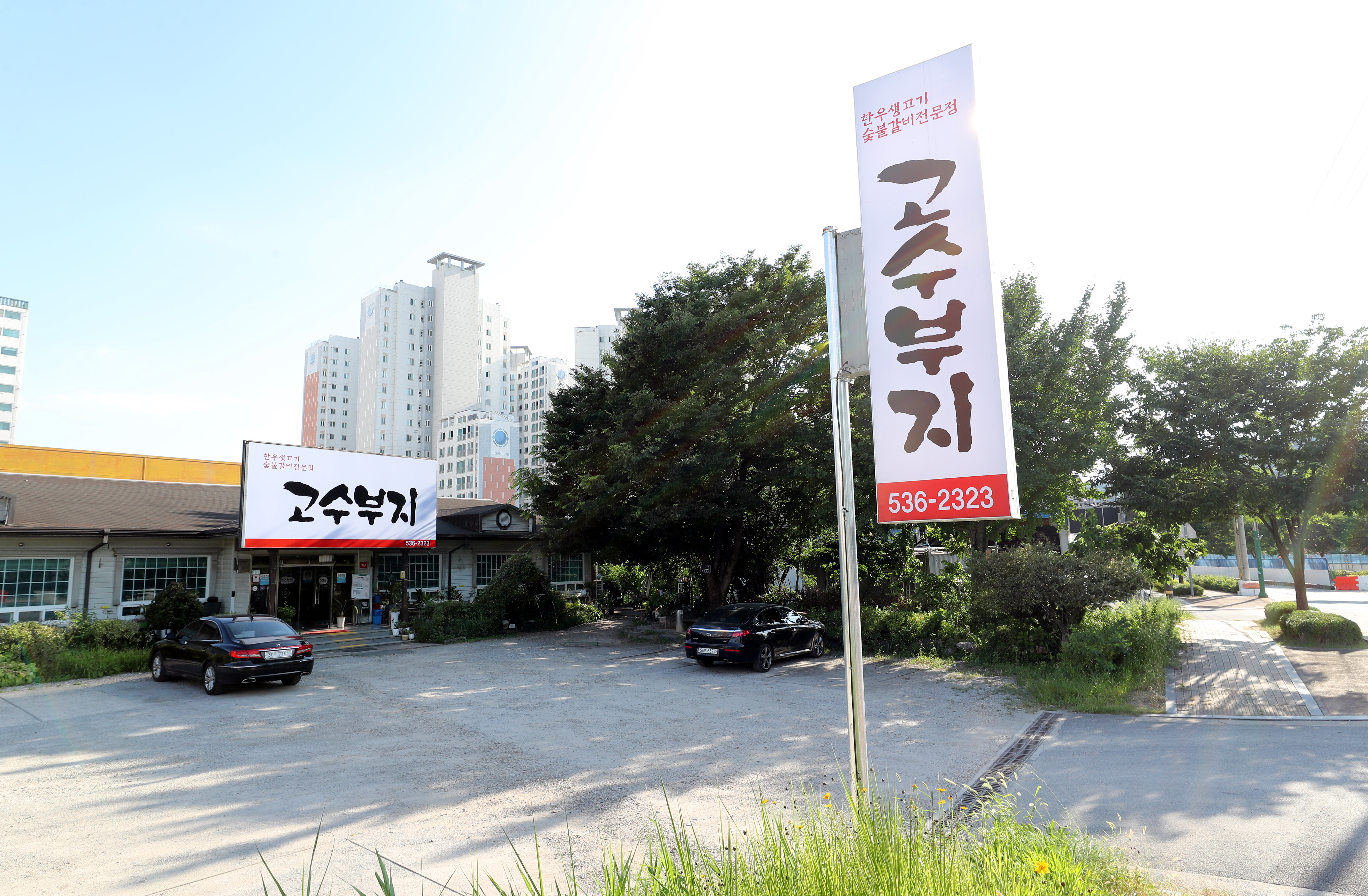 고수부지 2