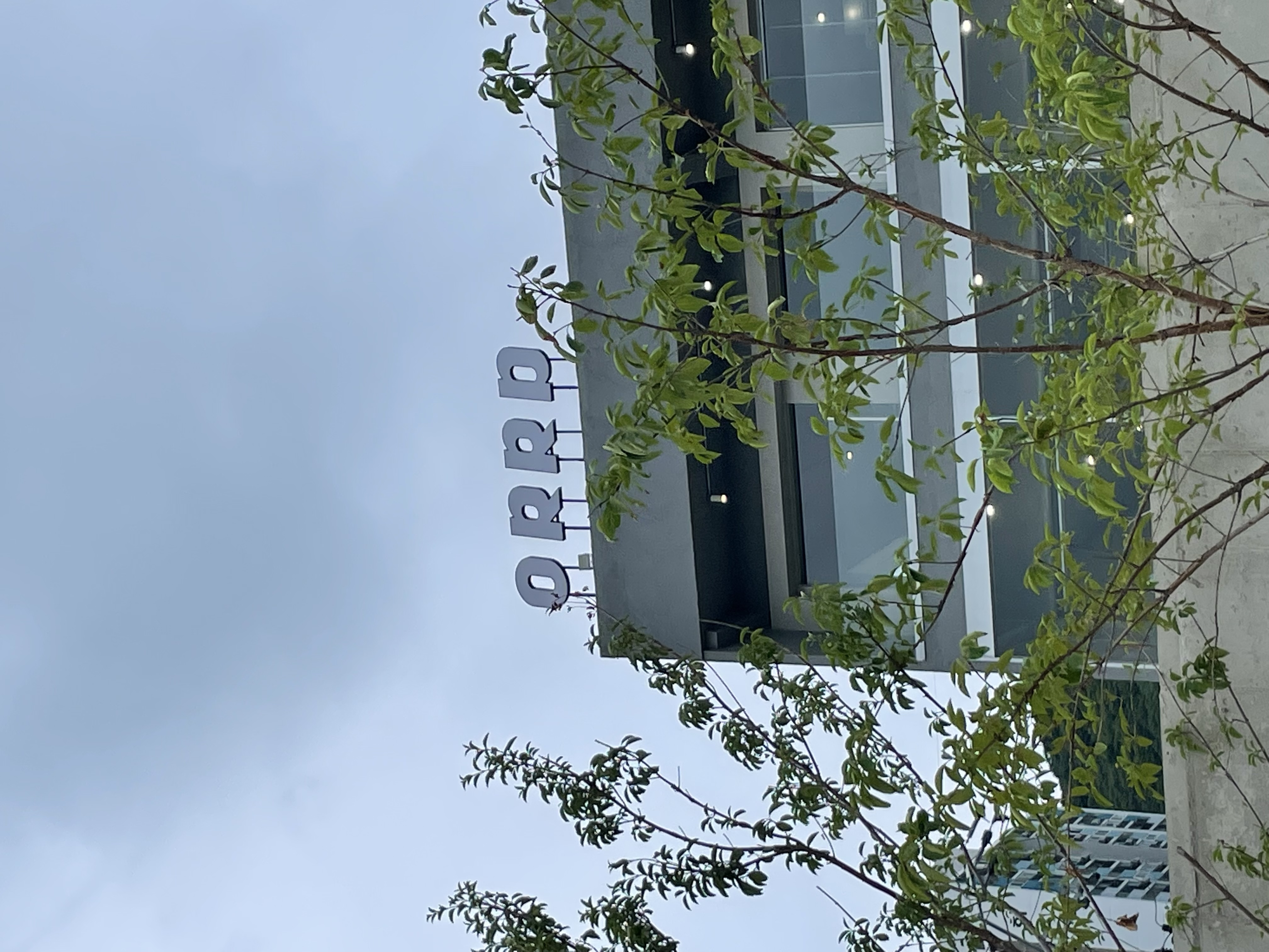오르디 1