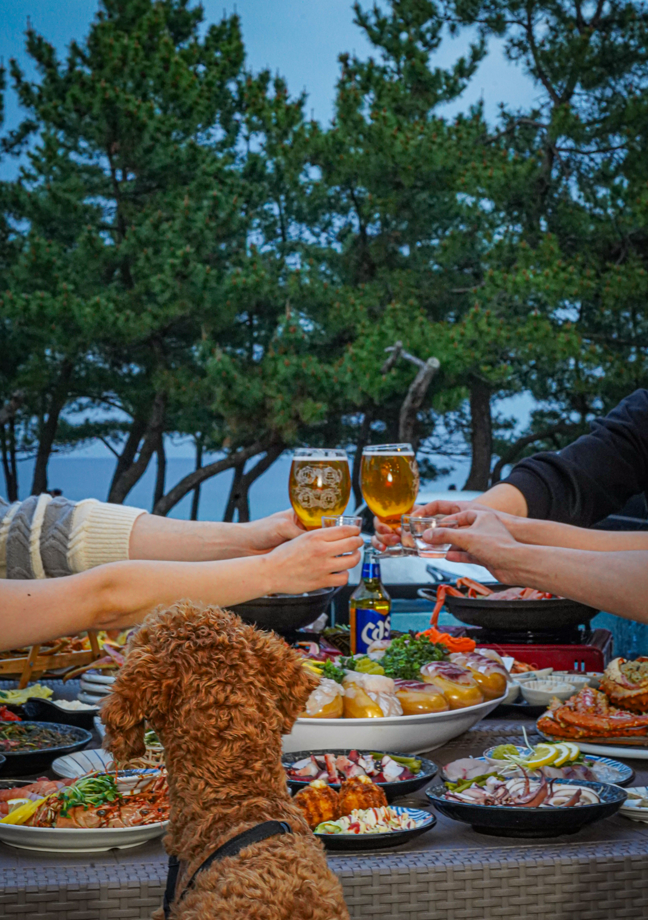 강릉맛집 피쉬맨횟집 경포대본점 사진 4